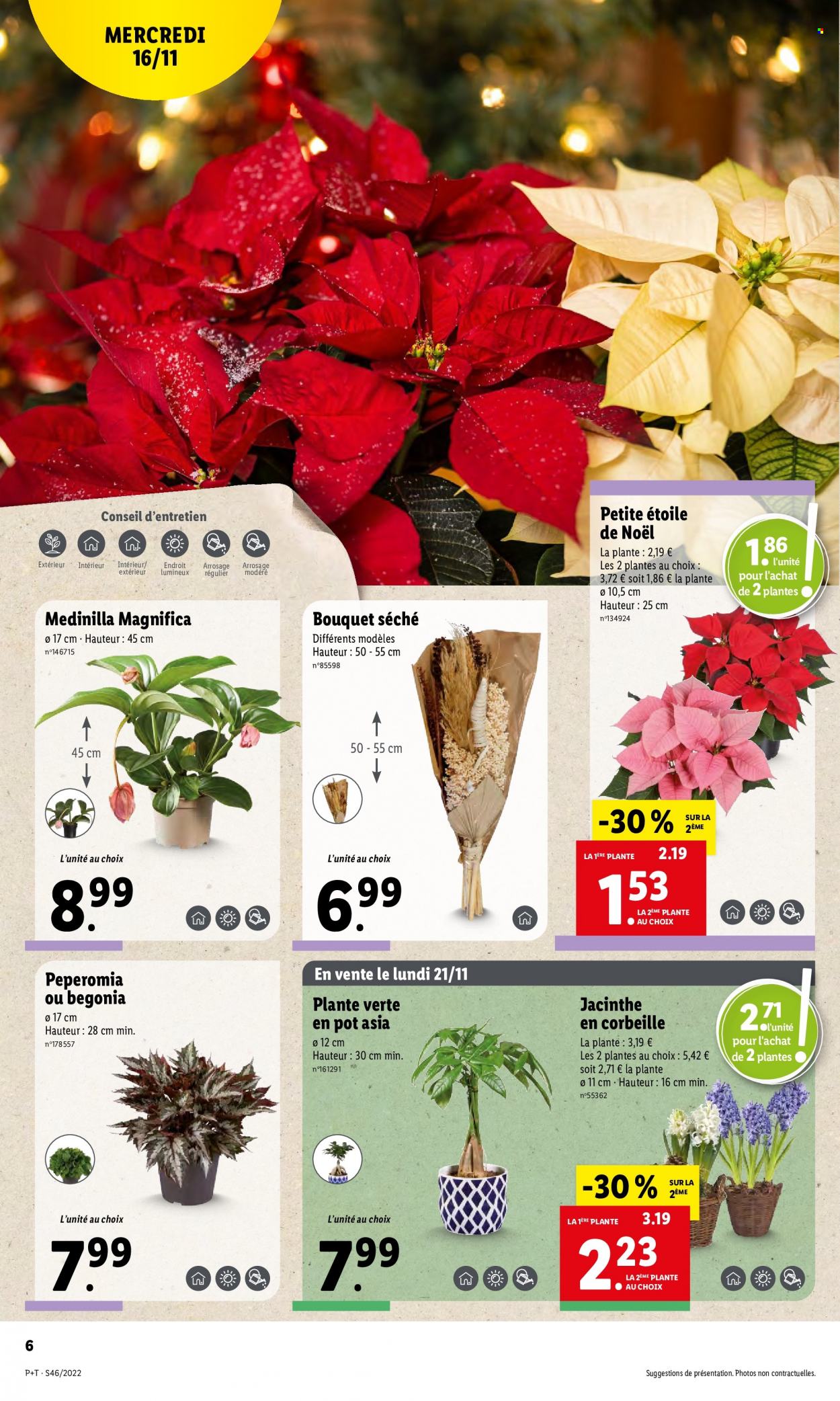 Catalogue Lidl - 16/11/2022 - 22/11/2022. Page 6