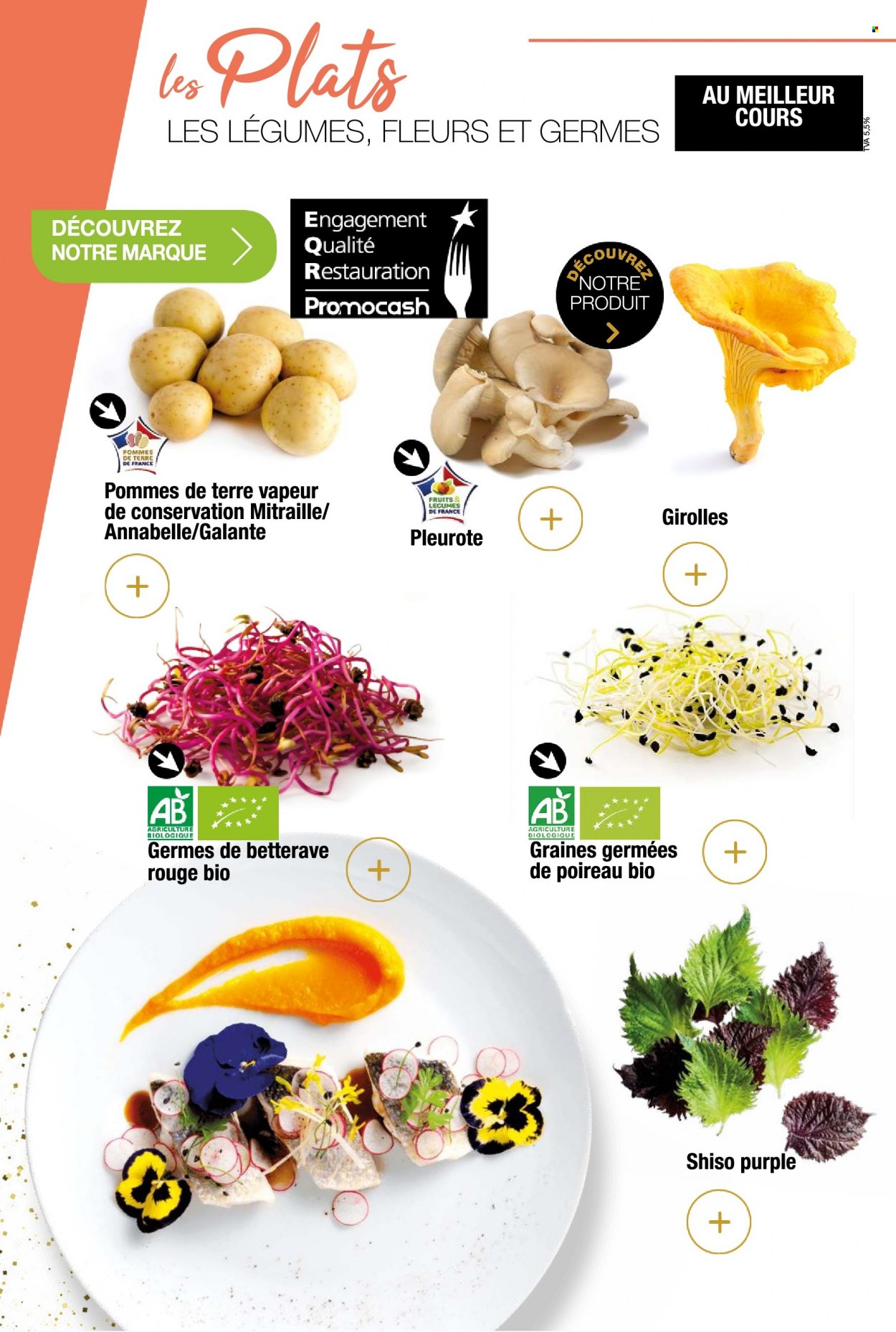 Catalogue Promocash - 01/12/2022 - 31/12/2022. Page 42