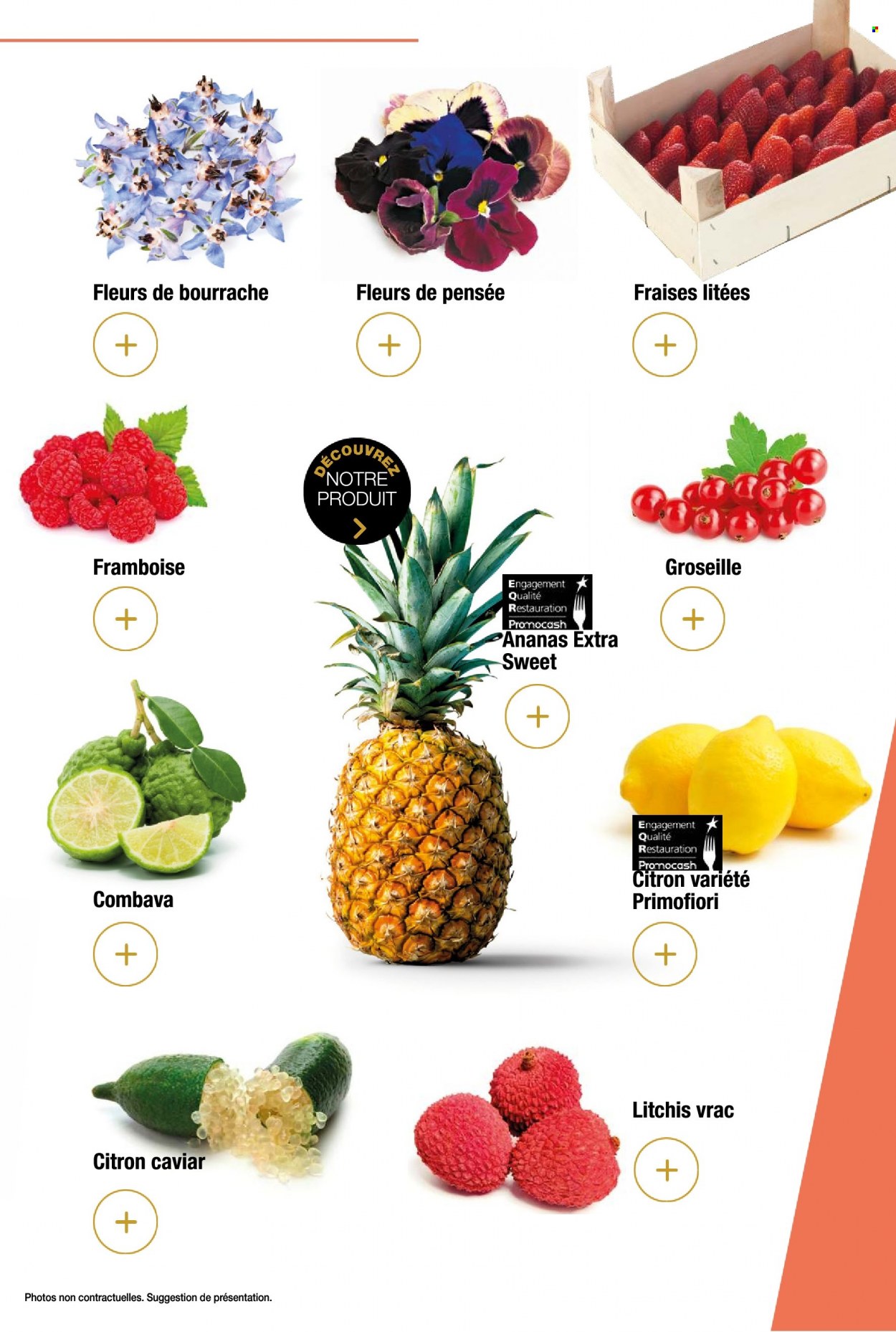 Catalogue Promocash - 01/12/2022 - 31/12/2022. Page 43