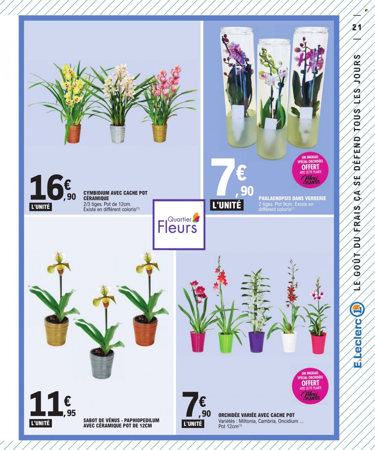 Catalogue E.Leclerc - 06/12/2022 - 17/12/2022. Page 21