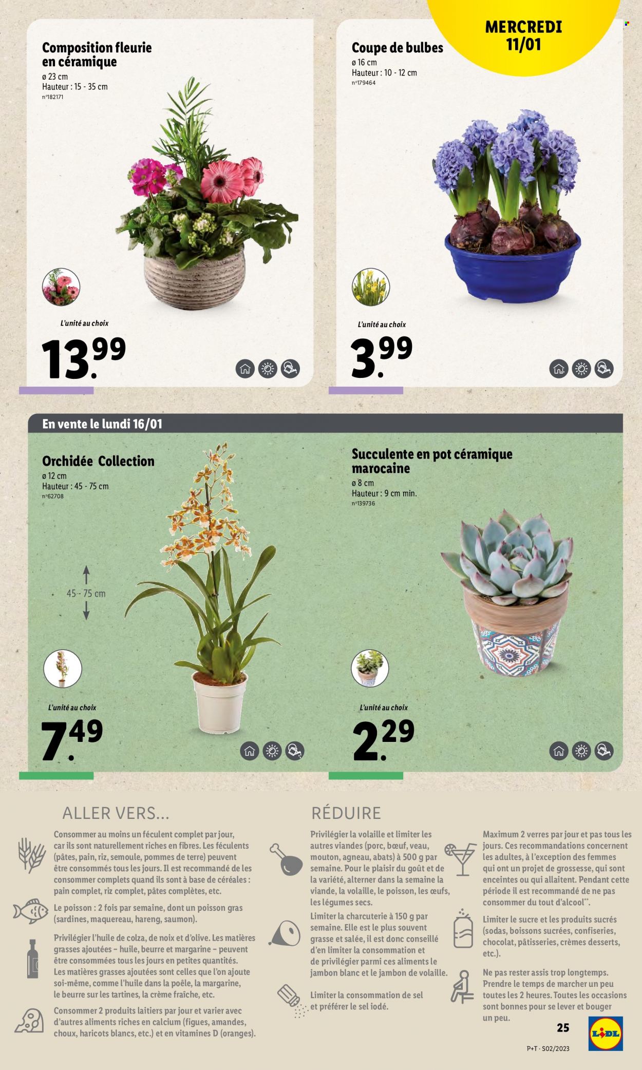 Catalogue Lidl - 11/01/2023 - 17/01/2023. Page 27