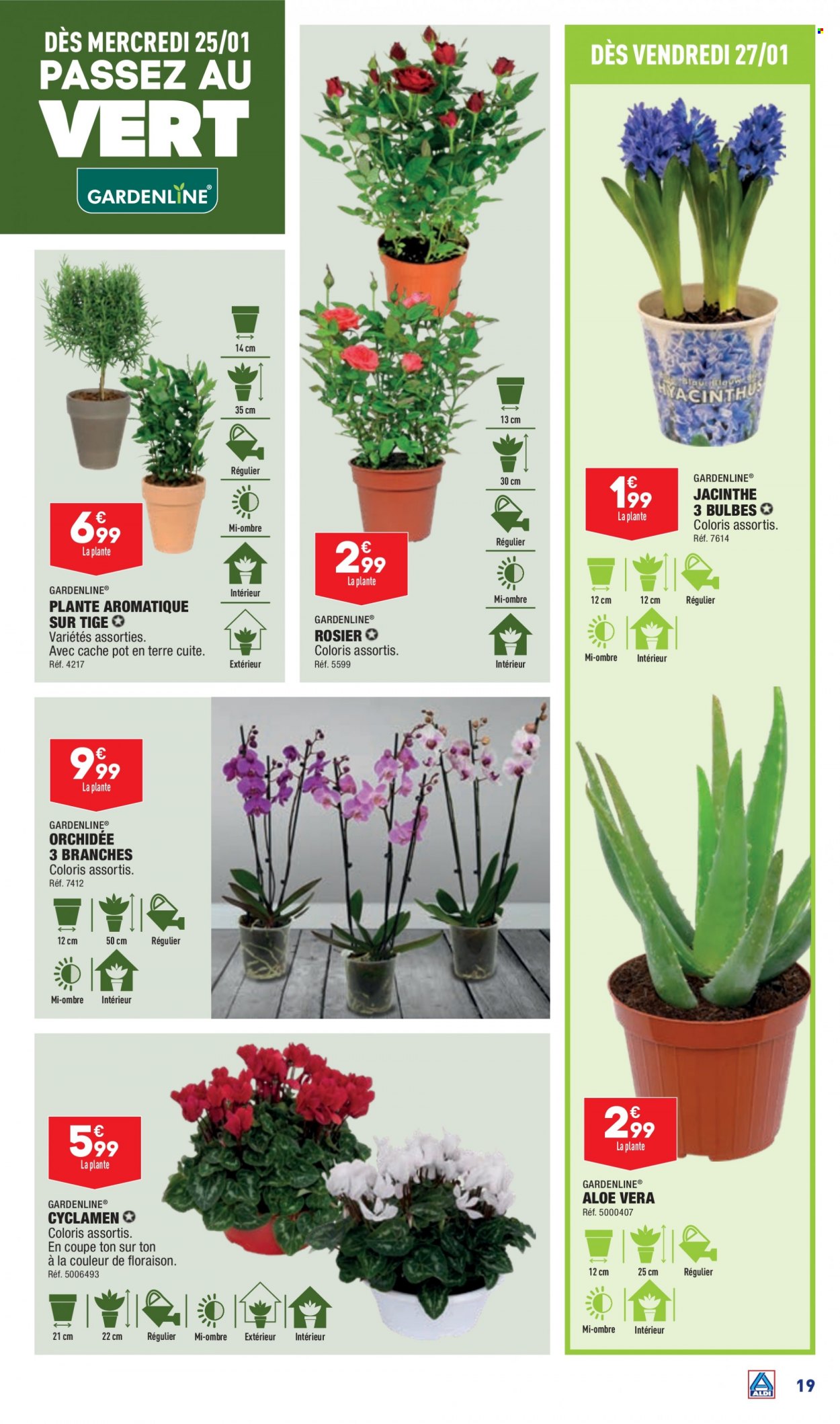 Catalogue ALDI - 24/01/2023 - 30/01/2023. Page 21