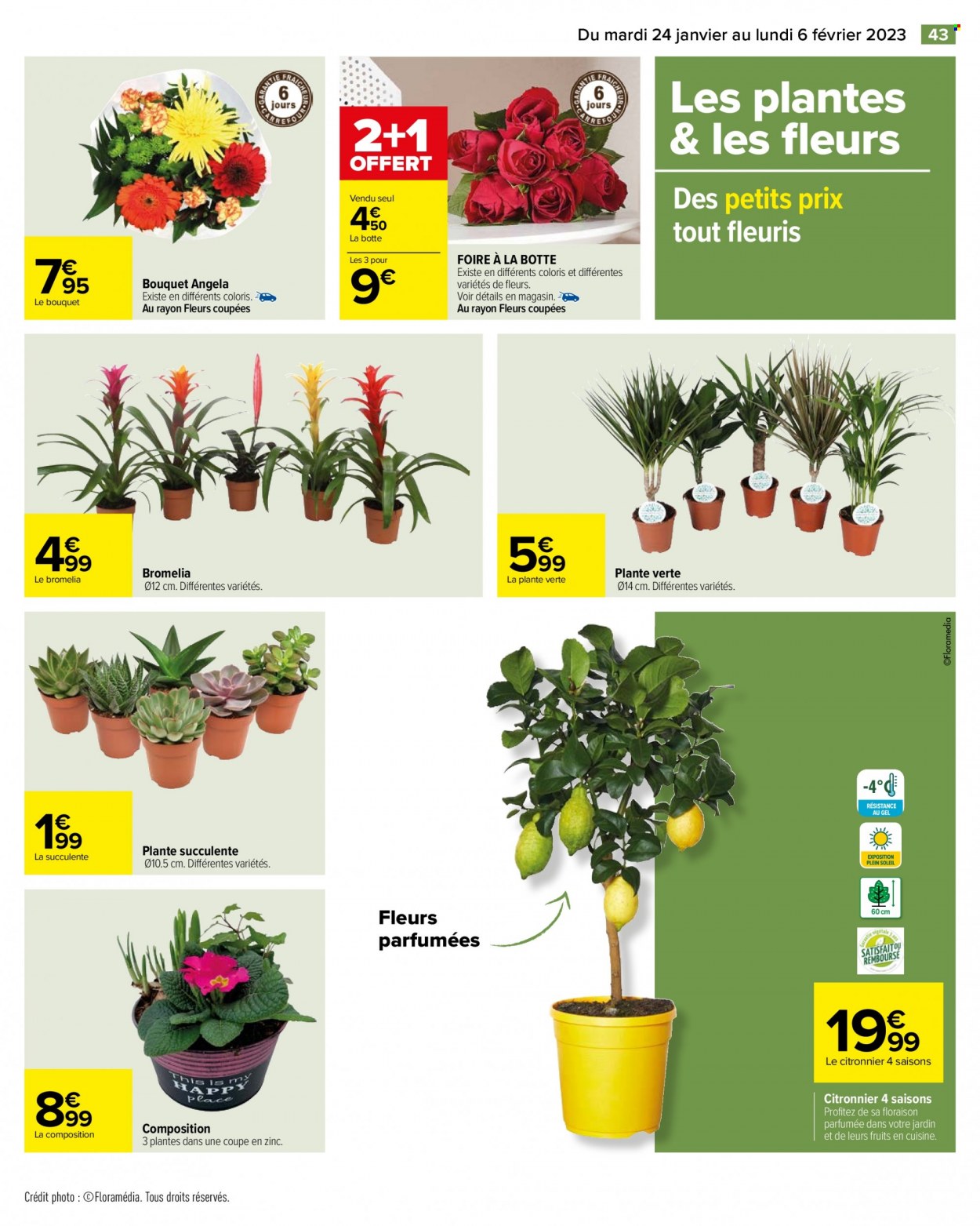 Catalogue Carrefour Hypermarchés - 24/01/2023 - 06/02/2023. Page 45