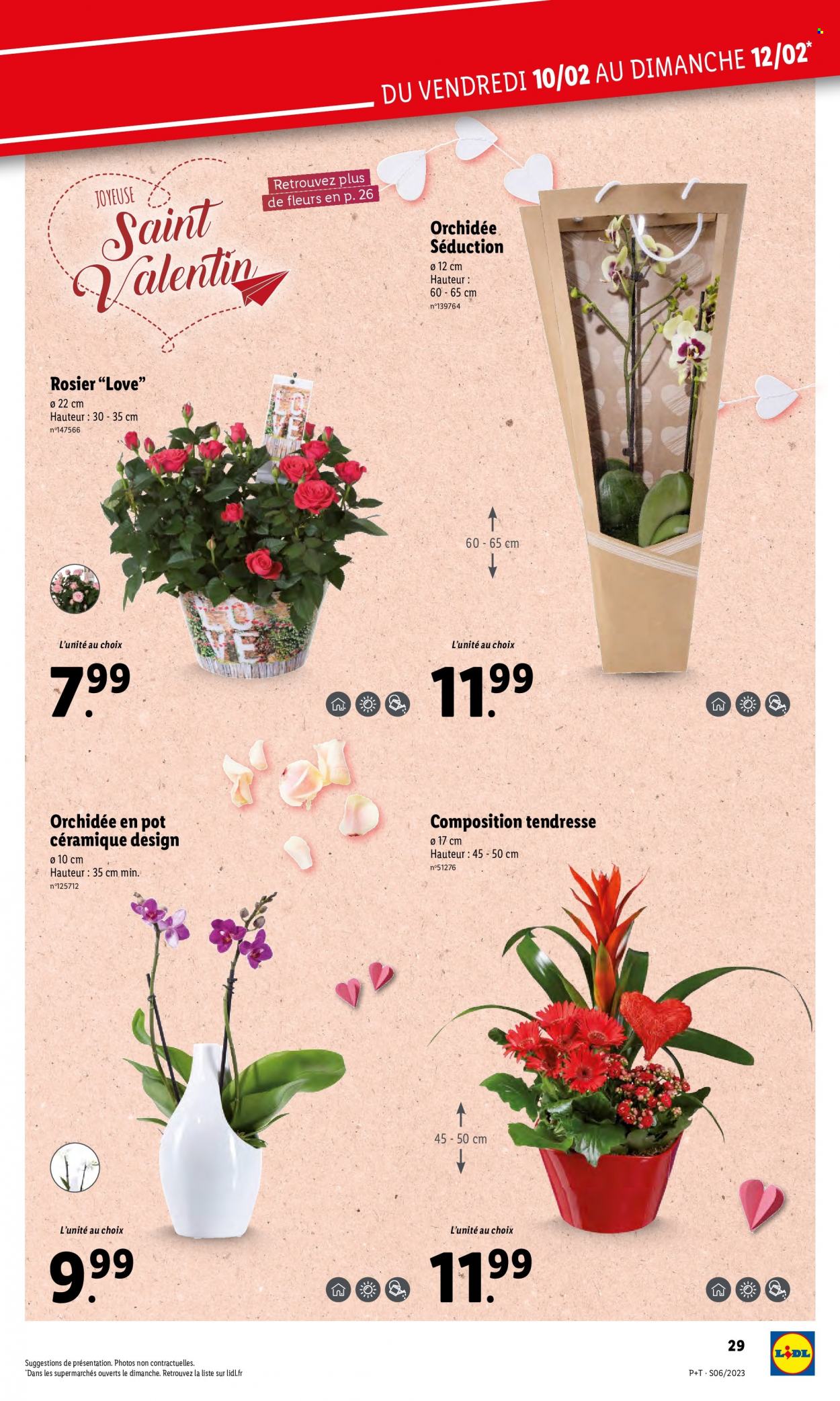Catalogue Lidl - 08/02/2023 - 14/02/2023. Page 33