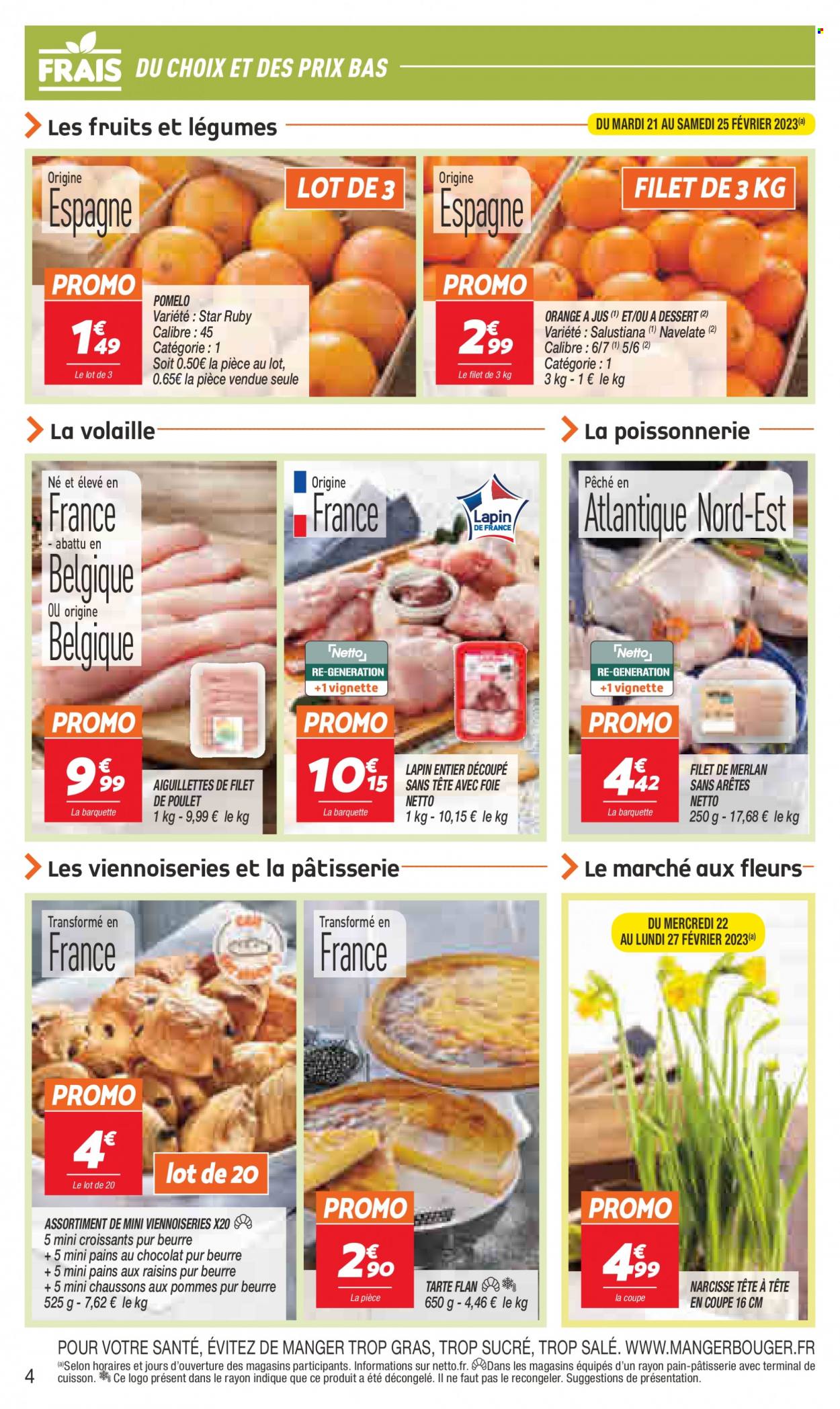 Catalogue Netto - 21/02/2023 - 27/02/2023. Page 4