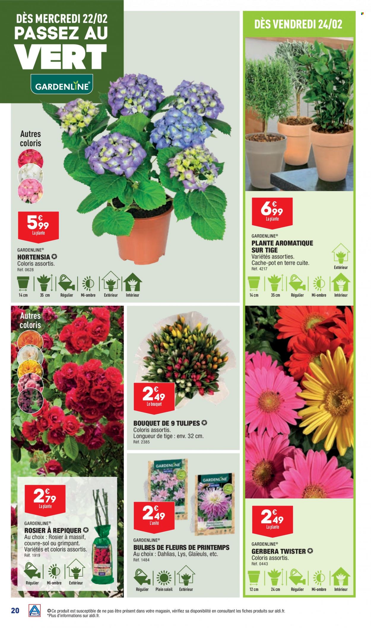 Catalogue ALDI - 21/02/2023 - 27/02/2023. Page 22