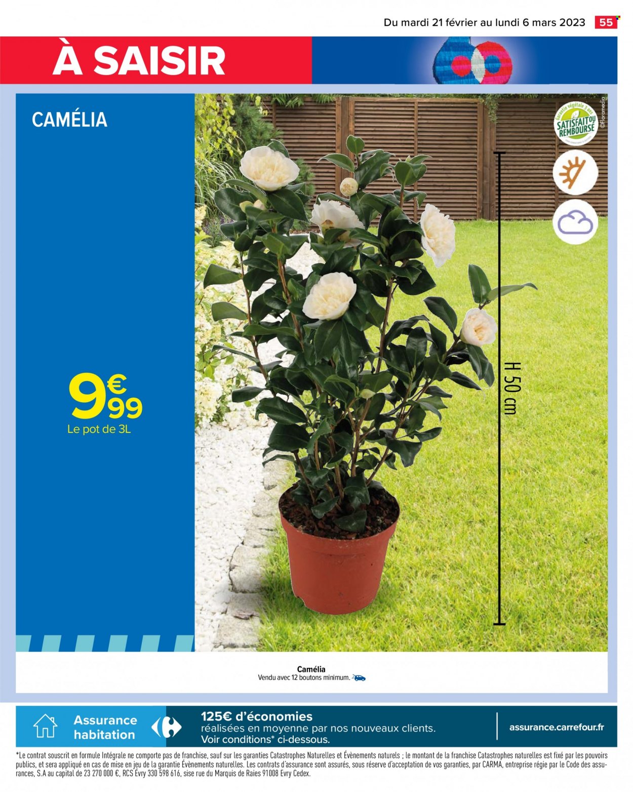 Catalogue Carrefour Hypermarchés - 21/02/2023 - 06/03/2023. Page 57
