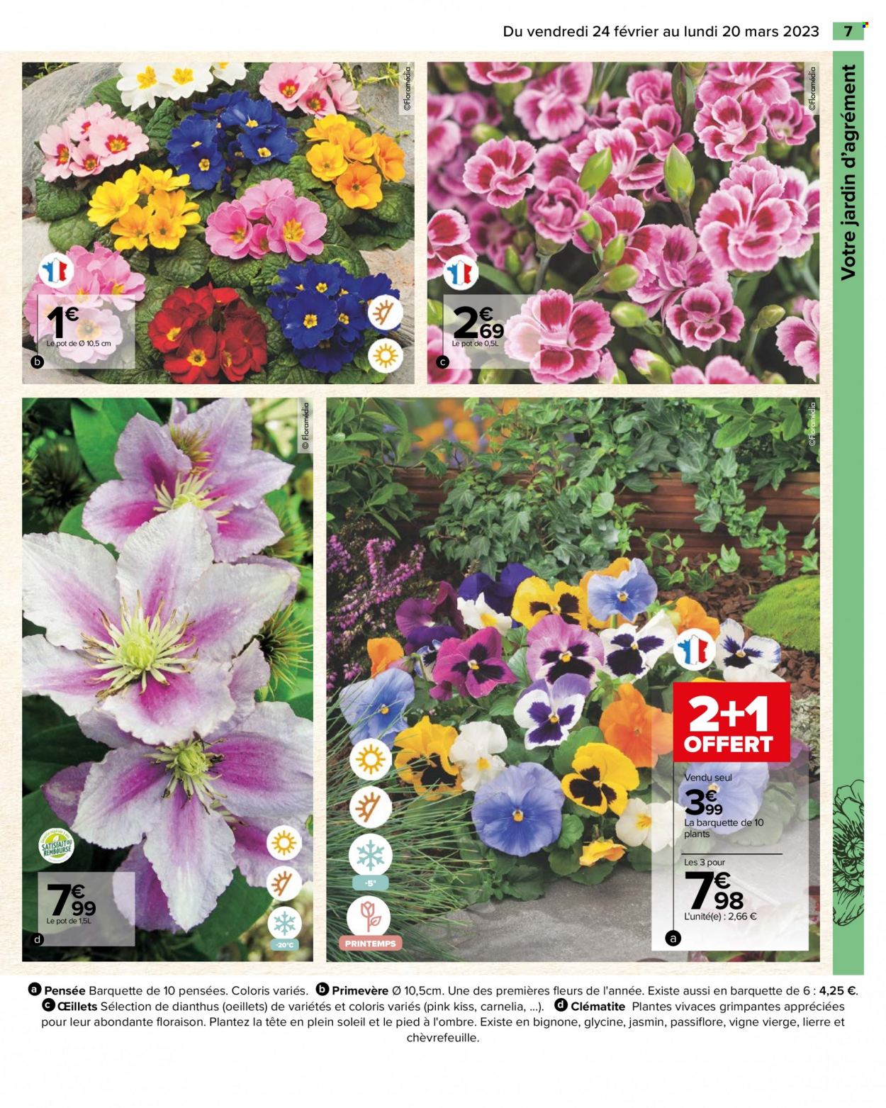 Catalogue Carrefour Hypermarchés - 24/02/2023 - 20/03/2023. Page 7