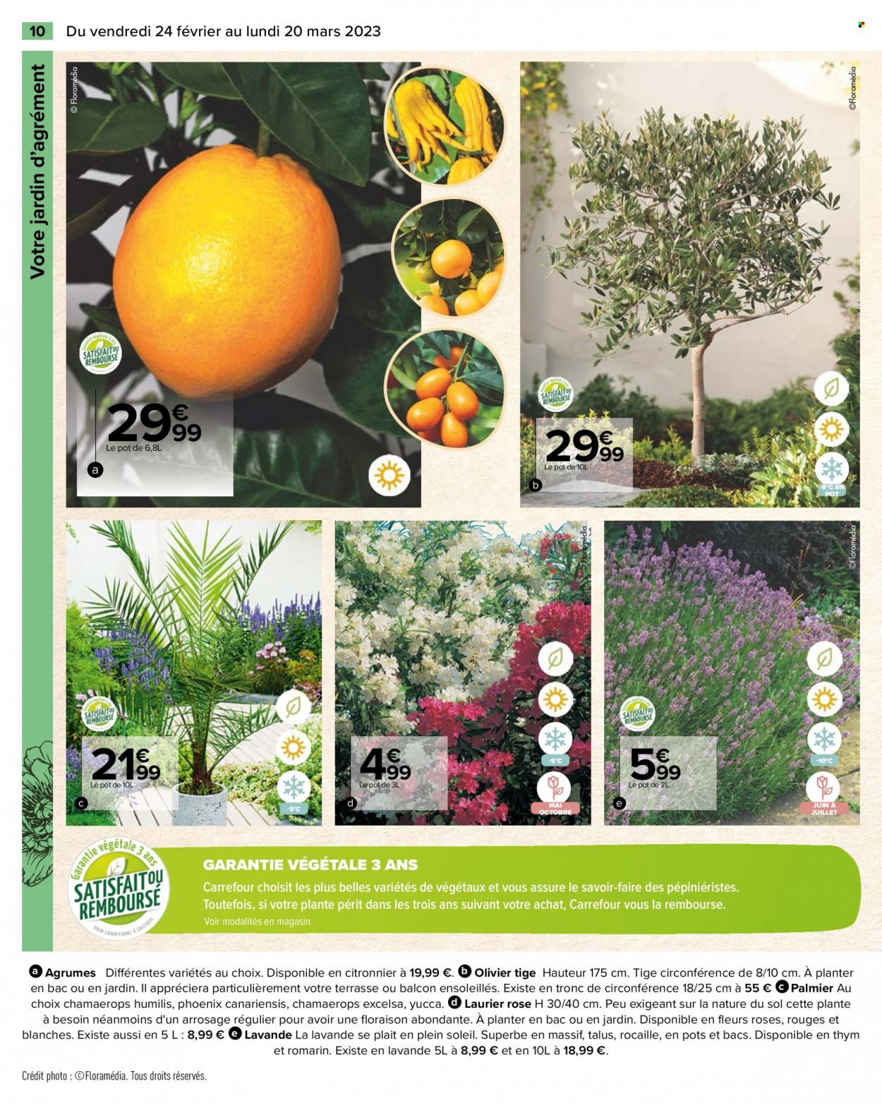 Catalogue Carrefour Hypermarchés - 24/02/2023 - 20/03/2023. Page 10