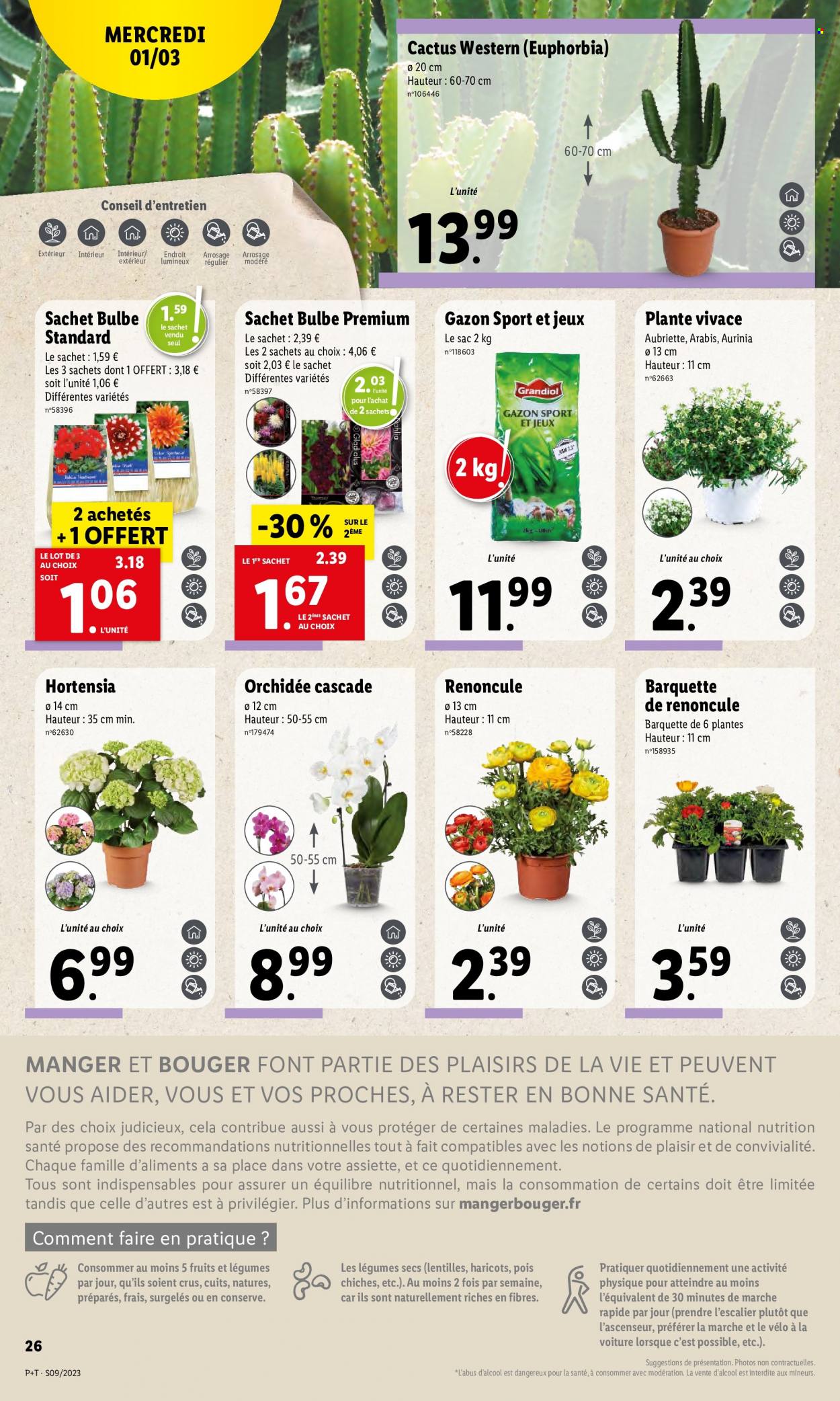 Catalogue Lidl - 01/03/2023 - 07/03/2023. Page 30