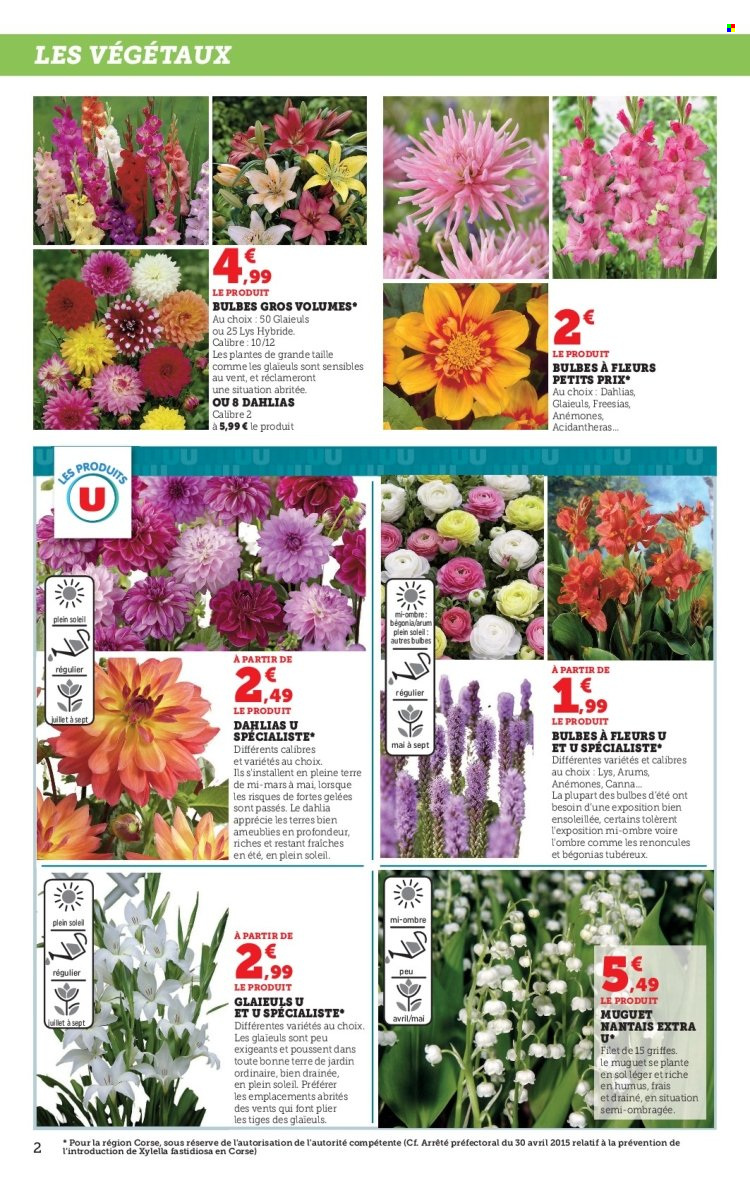 Catalogue SUPER U - 28/02/2023 - 12/03/2023. Page 2