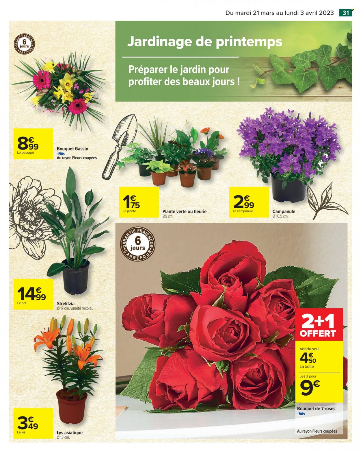 Catalogue Carrefour Hypermarchés - 21/03/2023 - 03/04/2023. Page 31