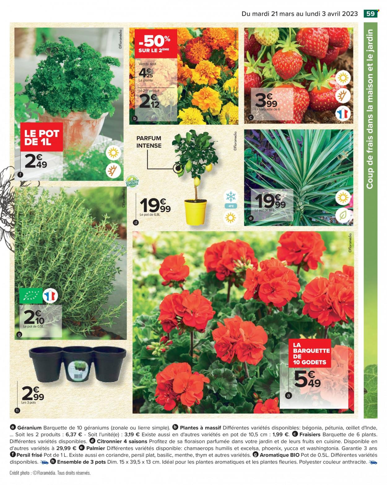 Catalogue Carrefour Hypermarchés - 21/03/2023 - 03/04/2023. Page 59