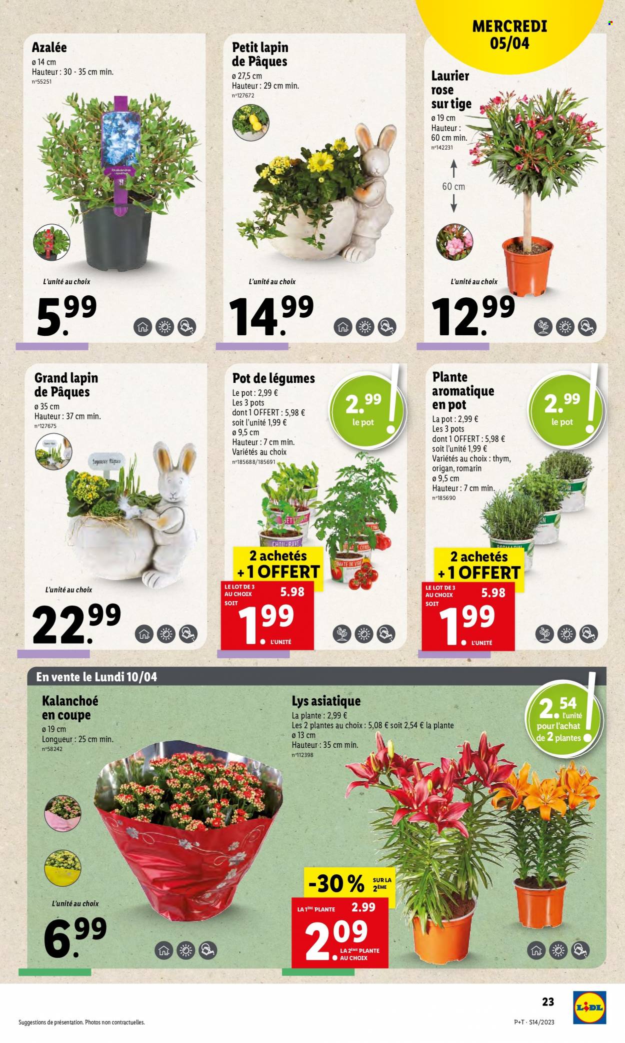 Catalogue Lidl - 05/04/2023 - 11/04/2023. Page 25