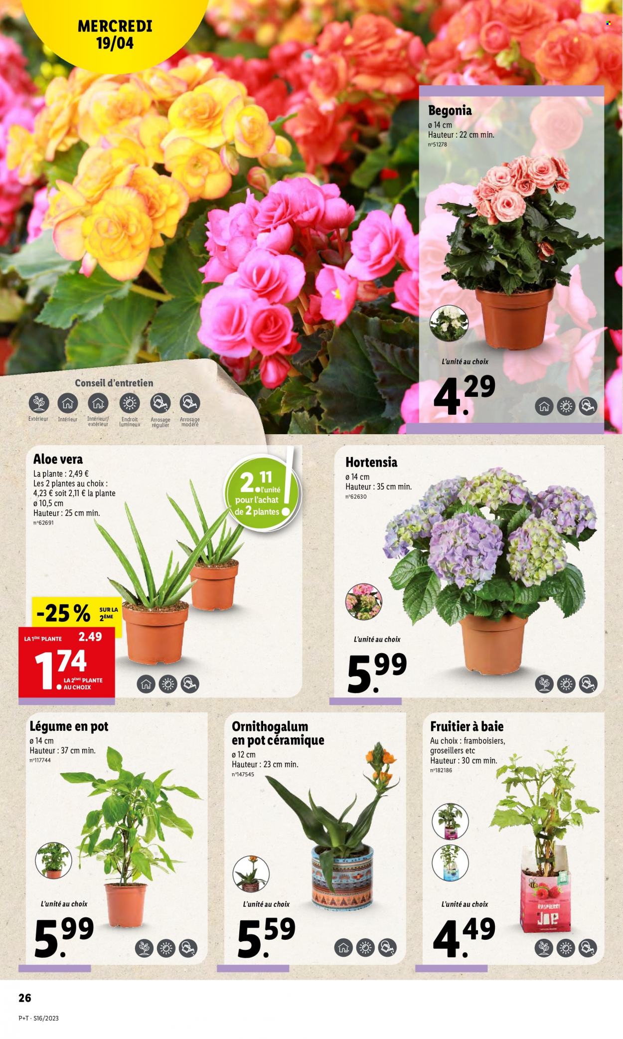 Catalogue Lidl - 19/04/2023 - 25/04/2023. Page 28
