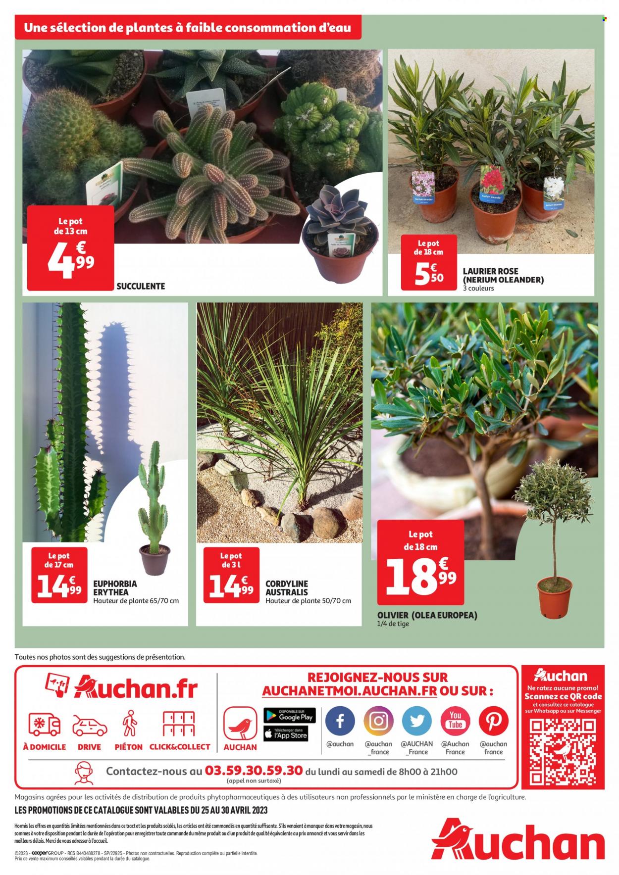 Catalogue Auchan - 25/04/2023 - 30/04/2023. Page 4