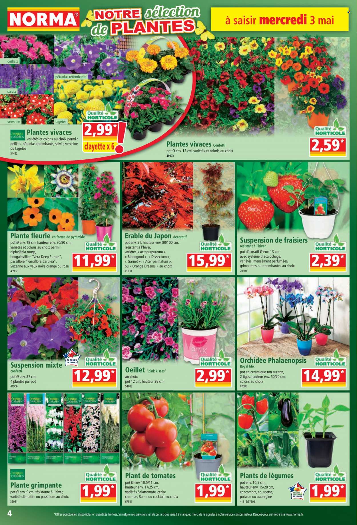 Catalogue Norma - 03/05/2023 - 09/05/2023. Page 4