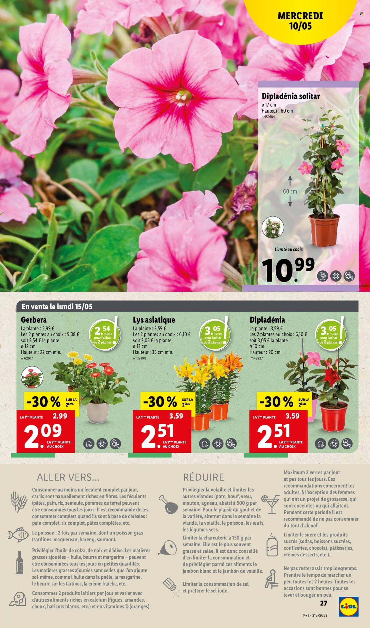Catalogue Lidl - 10/05/2023 - 16/05/2023. Page 31