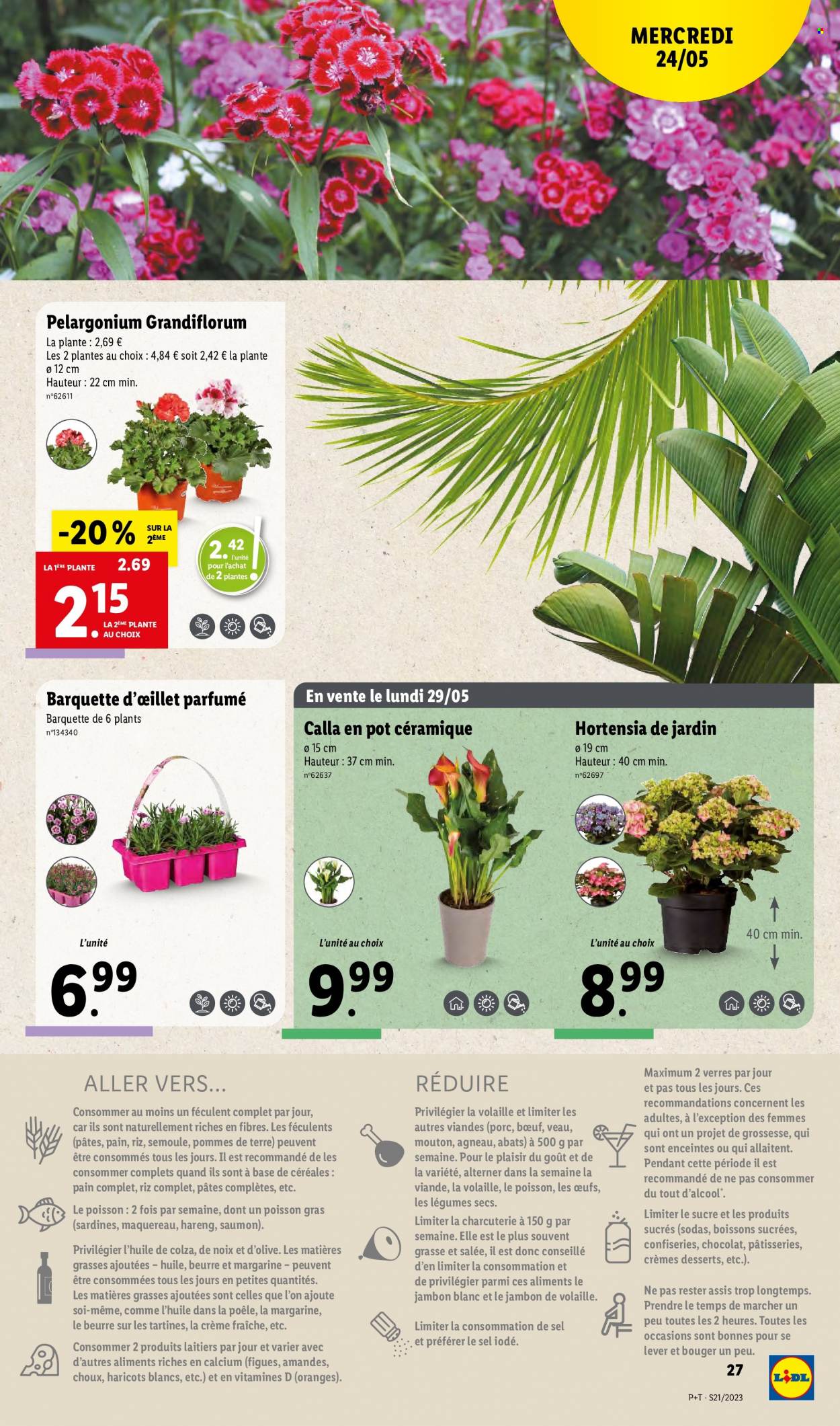 Catalogue Lidl - 24/05/2023 - 30/05/2023. Page 31