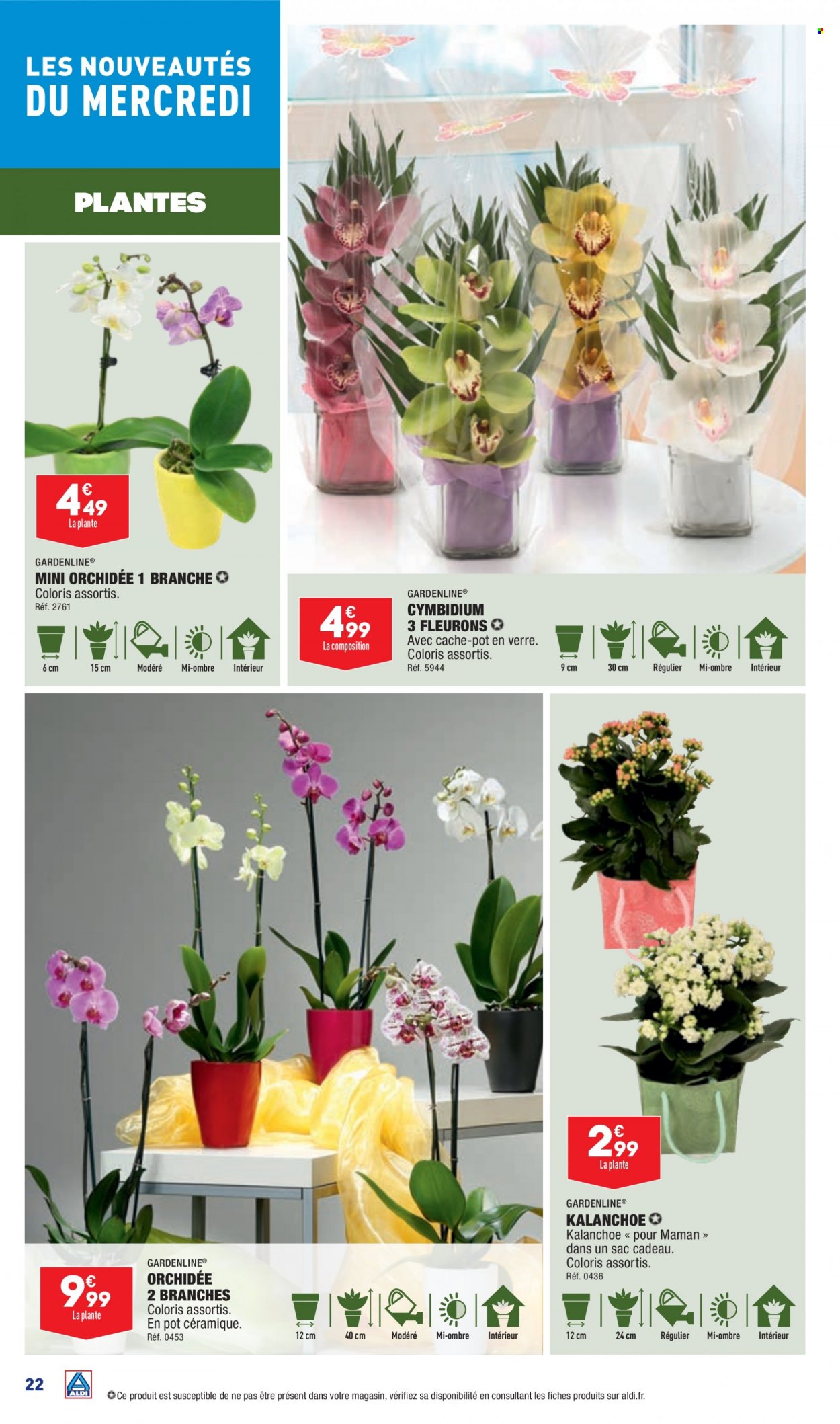 Catalogue ALDI - 31/05/2023 - 05/06/2023. Page 25