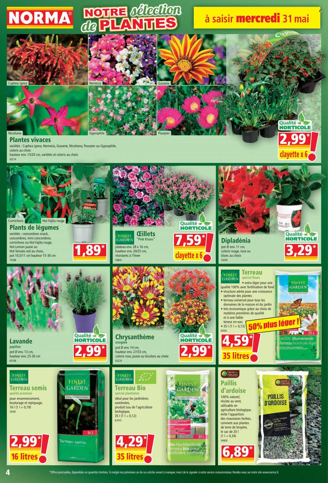Catalogue Norma - 31/05/2023 - 06/06/2023. Page 4
