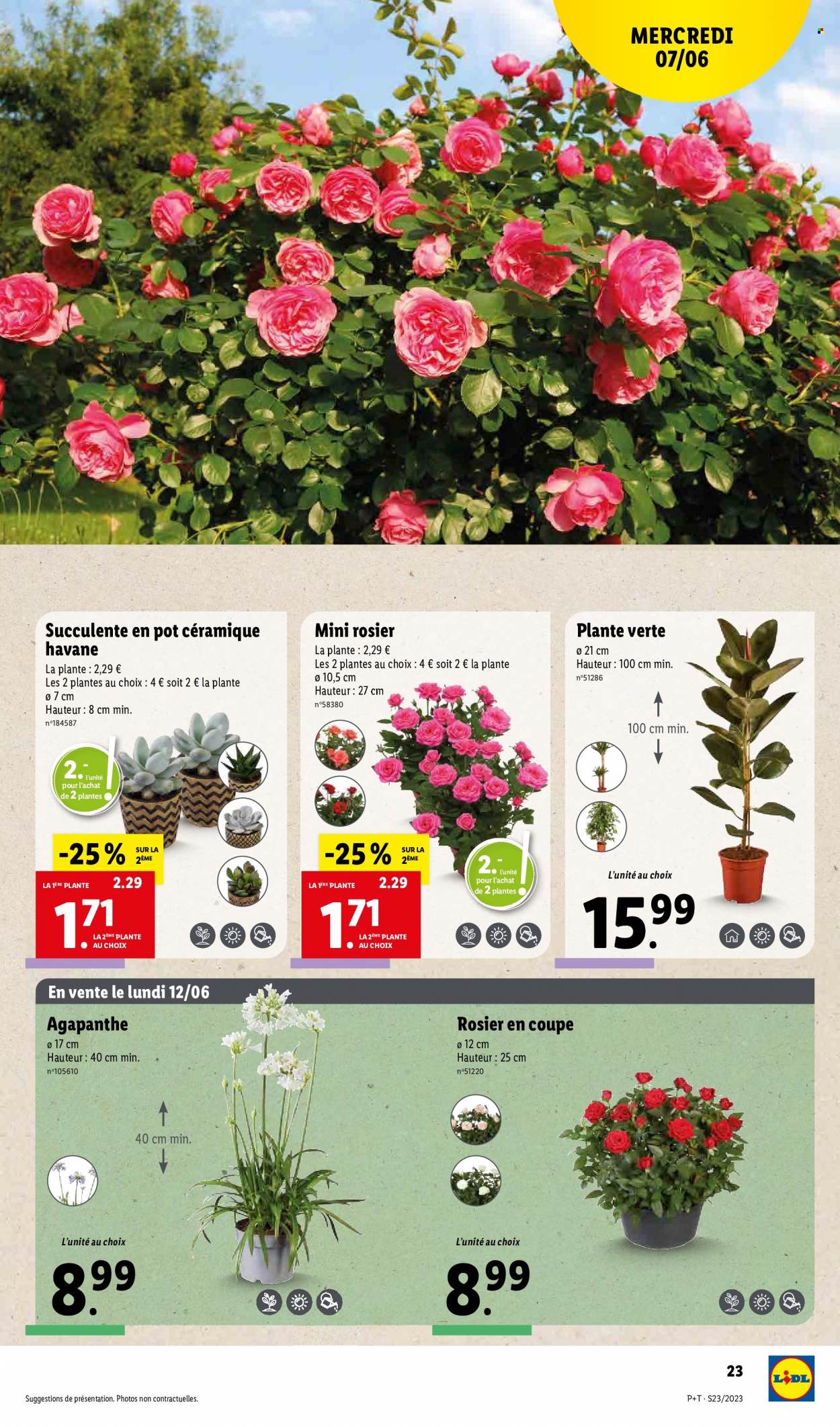 Catalogue Lidl - 07/06/2023 - 13/06/2023. Page 27