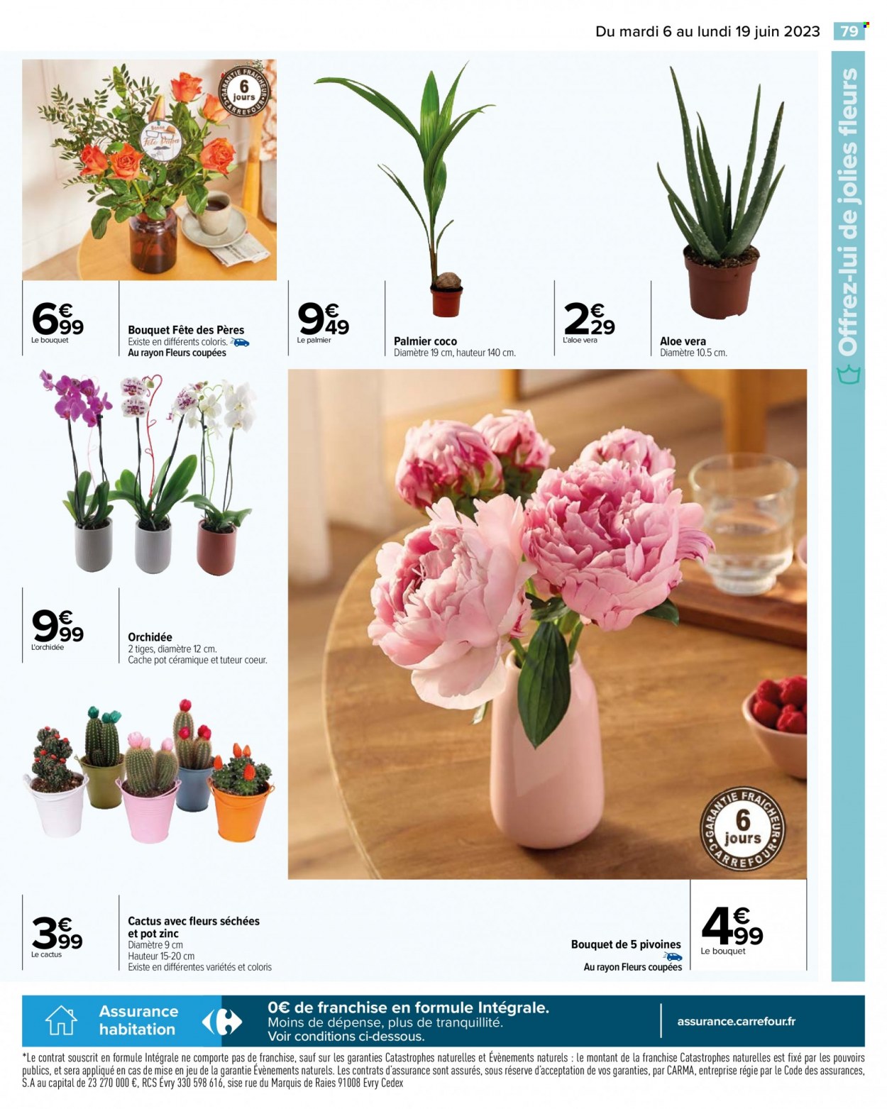 Catalogue Carrefour Hypermarchés - 06/06/2023 - 19/06/2023. Page 83