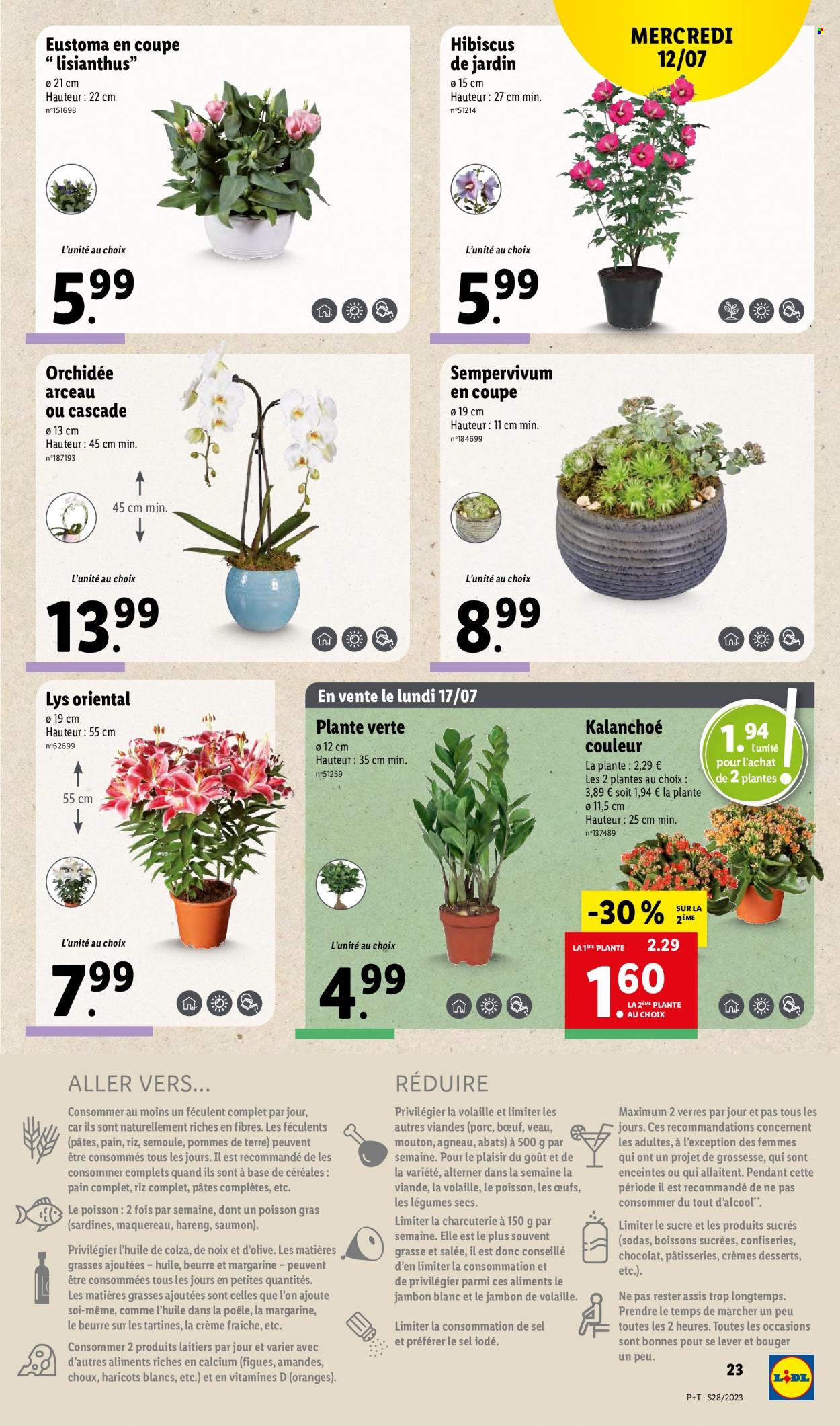 Catalogue Lidl - 12/07/2023 - 18/07/2023. Page 25