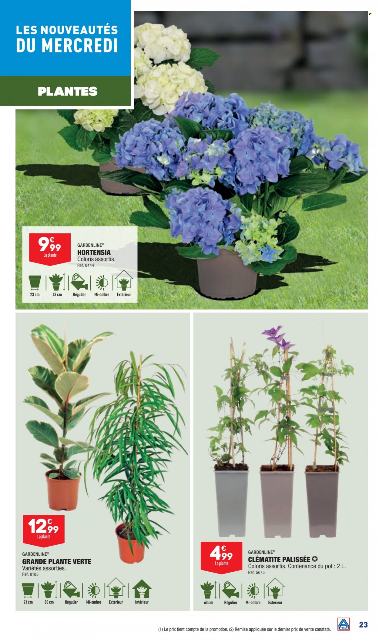 Catalogue ALDI - 25/07/2023 - 31/07/2023. Page 25