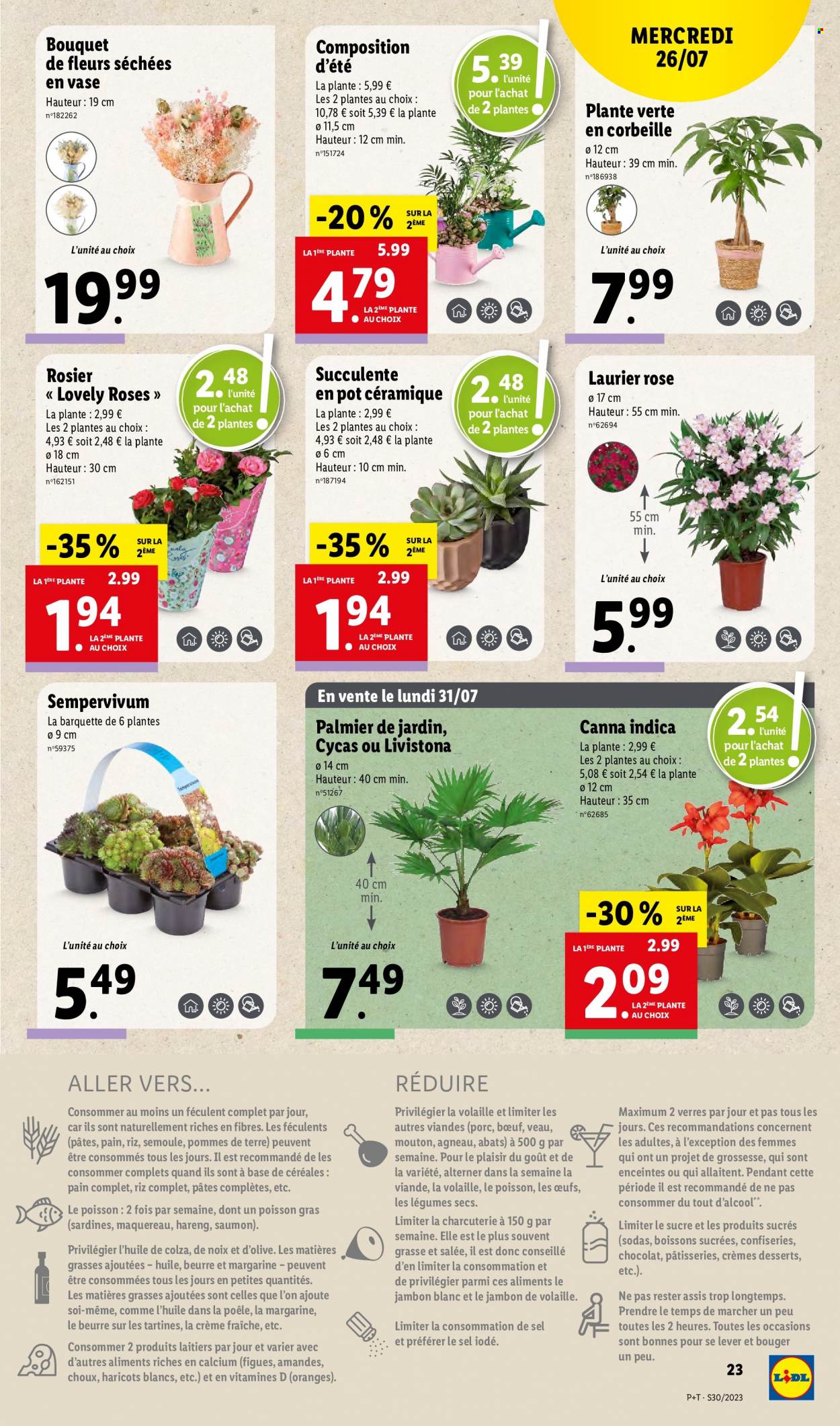 Catalogue Lidl - 26/07/2023 - 01/08/2023. Page 23