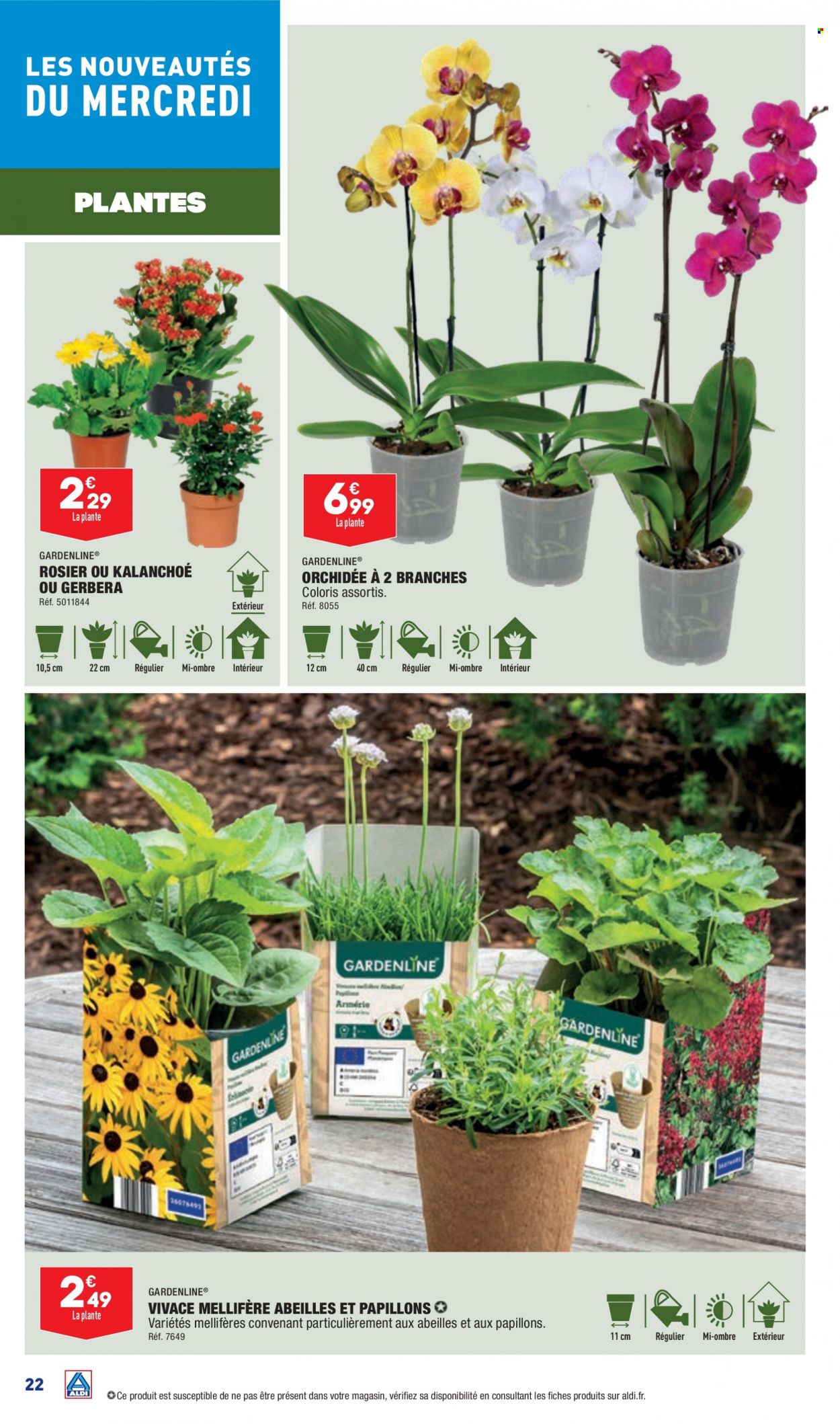 Catalogue ALDI - 08/08/2023 - 14/08/2023. Page 24
