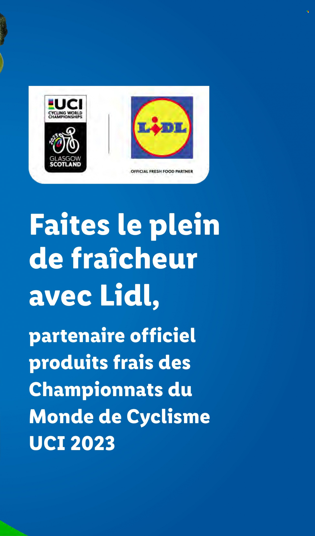 Catalogue Lidl - 09/08/2023 - 15/08/2023. Page 7