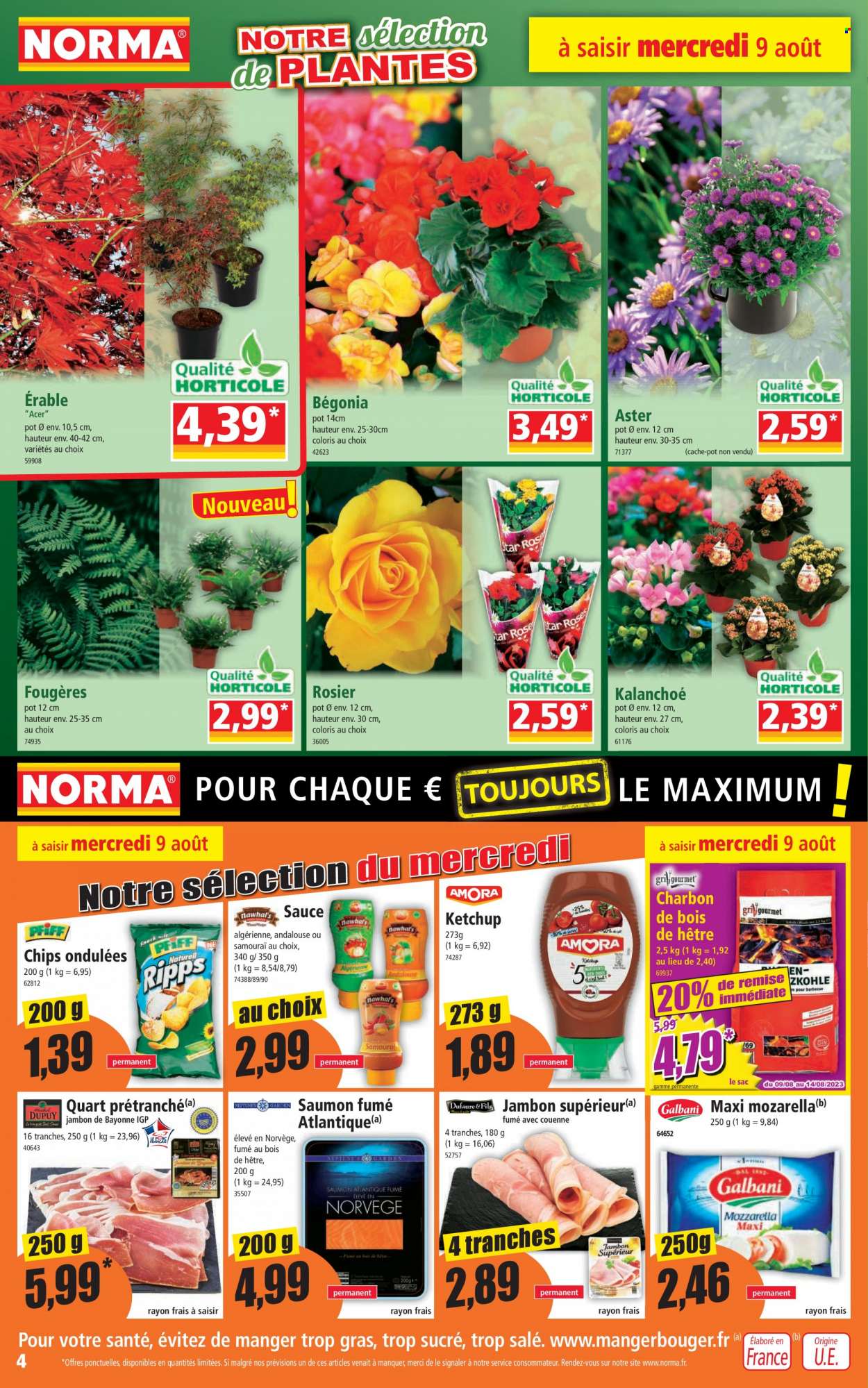 Catalogue Norma - 09/08/2023 - 14/08/2023. Page 4