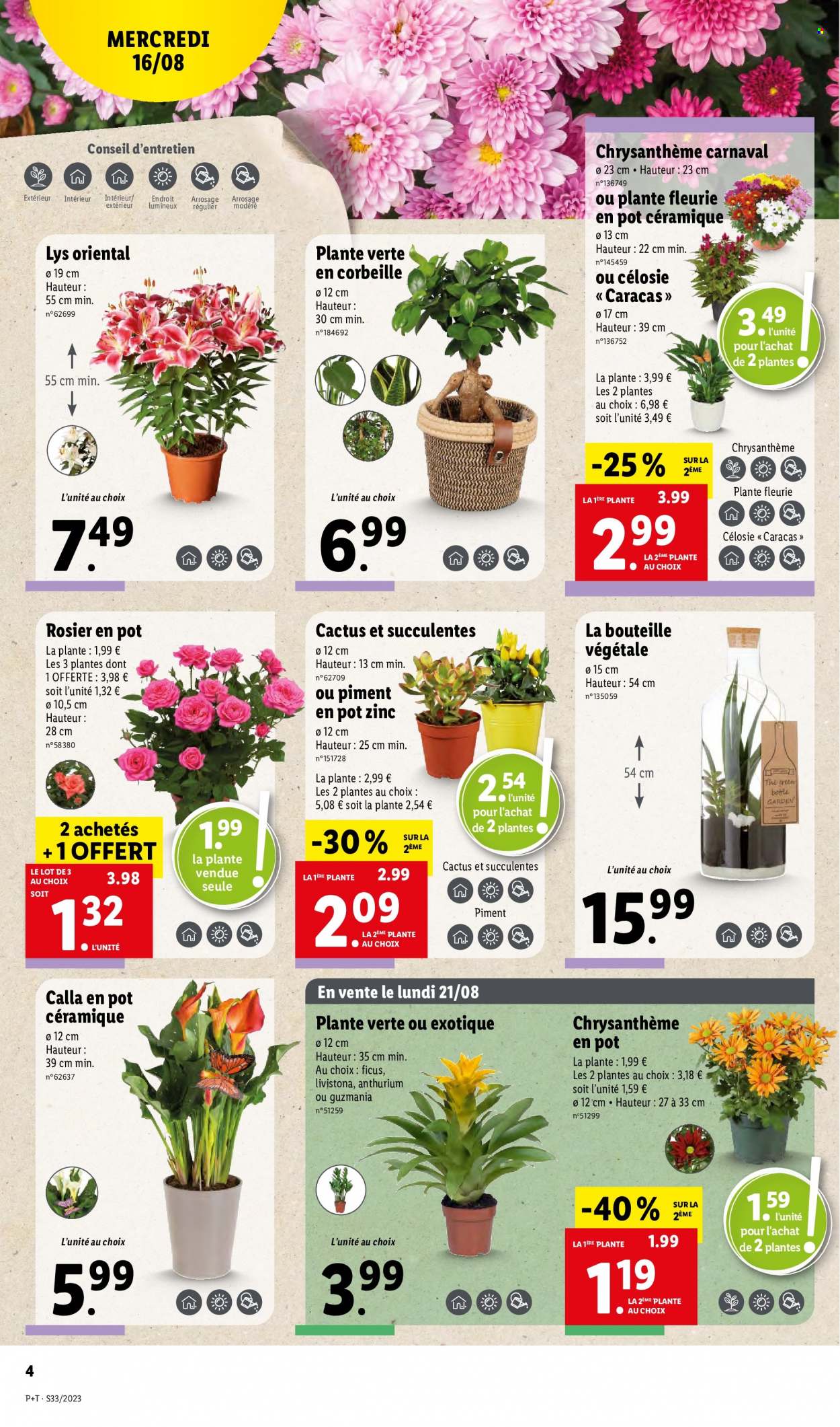 Catalogue Lidl - 16/08/2023 - 22/08/2023. Page 4