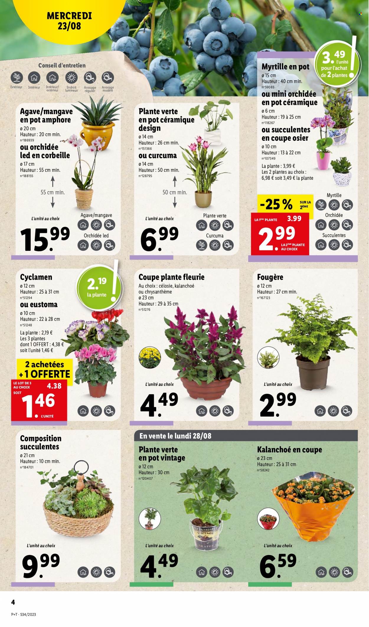 Catalogue Lidl - 23/08/2023 - 29/08/2023. Page 4