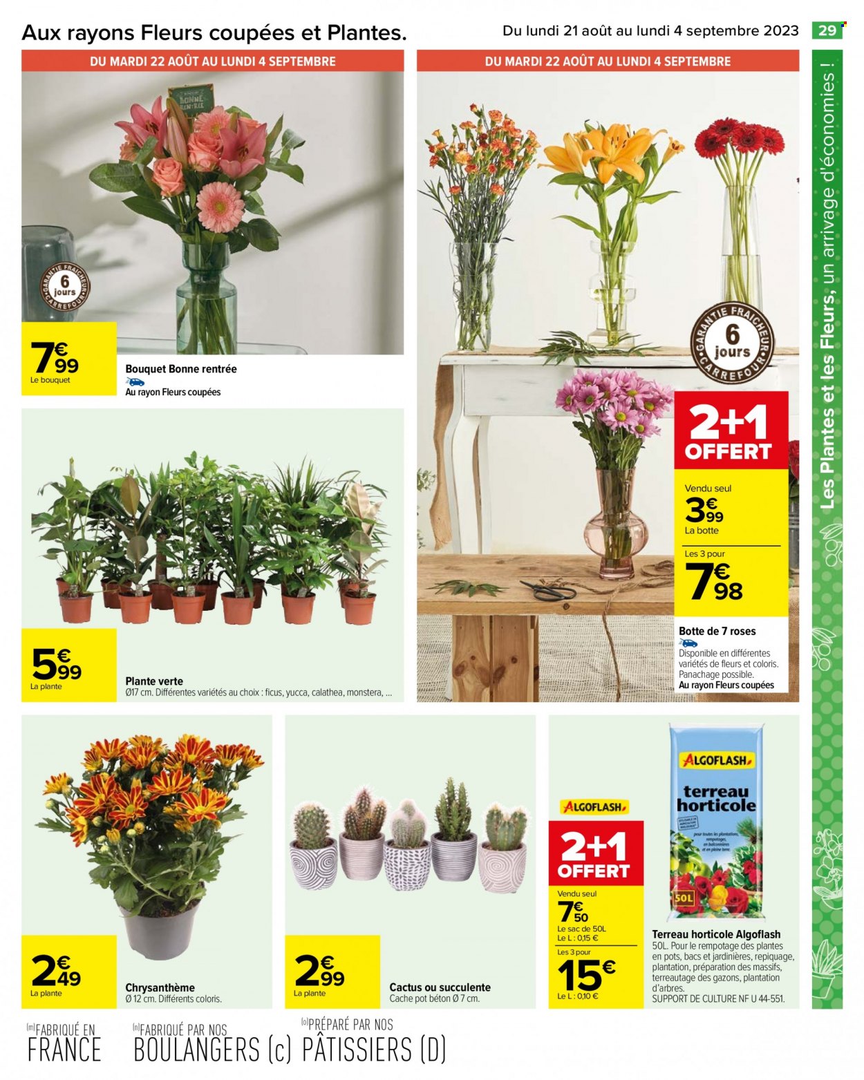 Catalogue Carrefour Hypermarchés - 21/08/2023 - 04/09/2023. Page 31