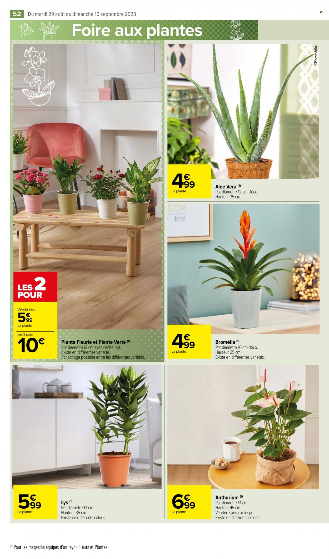 Catalogue Carrefour Market - 29/08/2023 - 10/09/2023. Page 54