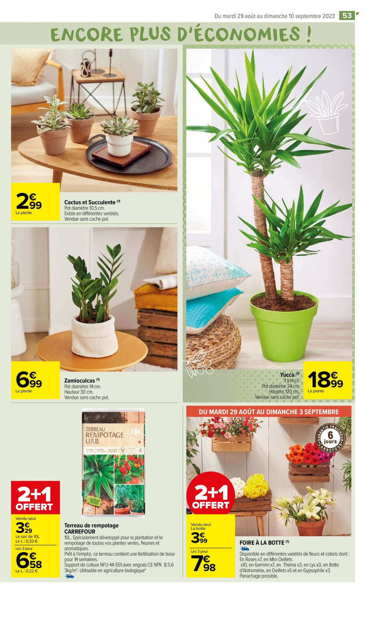 Catalogue Carrefour Market - 29/08/2023 - 10/09/2023. Page 55