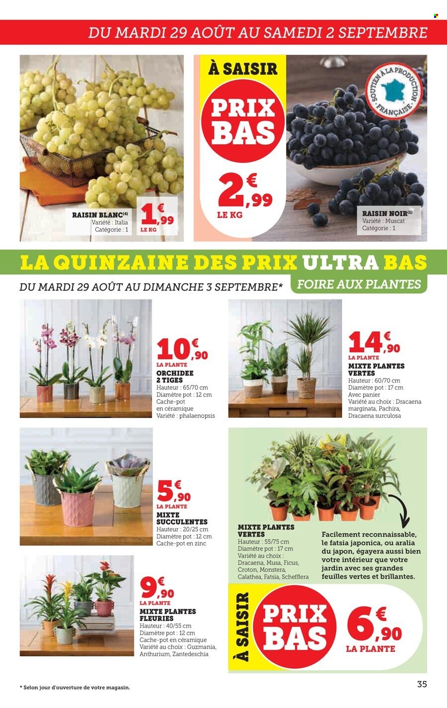 Catalogue SUPER U - 29/08/2023 - 10/09/2023. Page 35