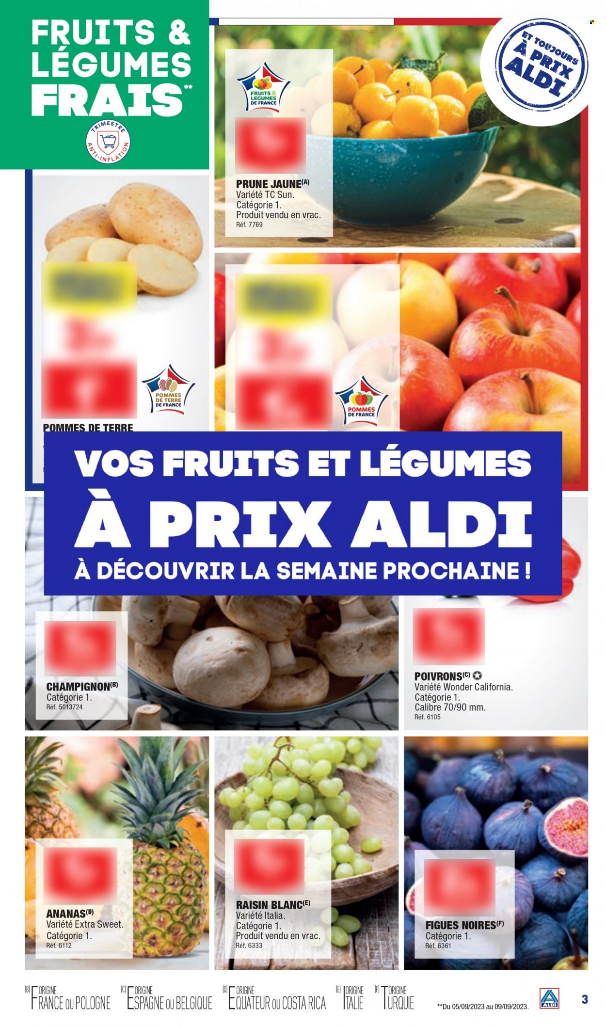 Catalogue ALDI - 05/09/2023 - 11/09/2023. Page 5