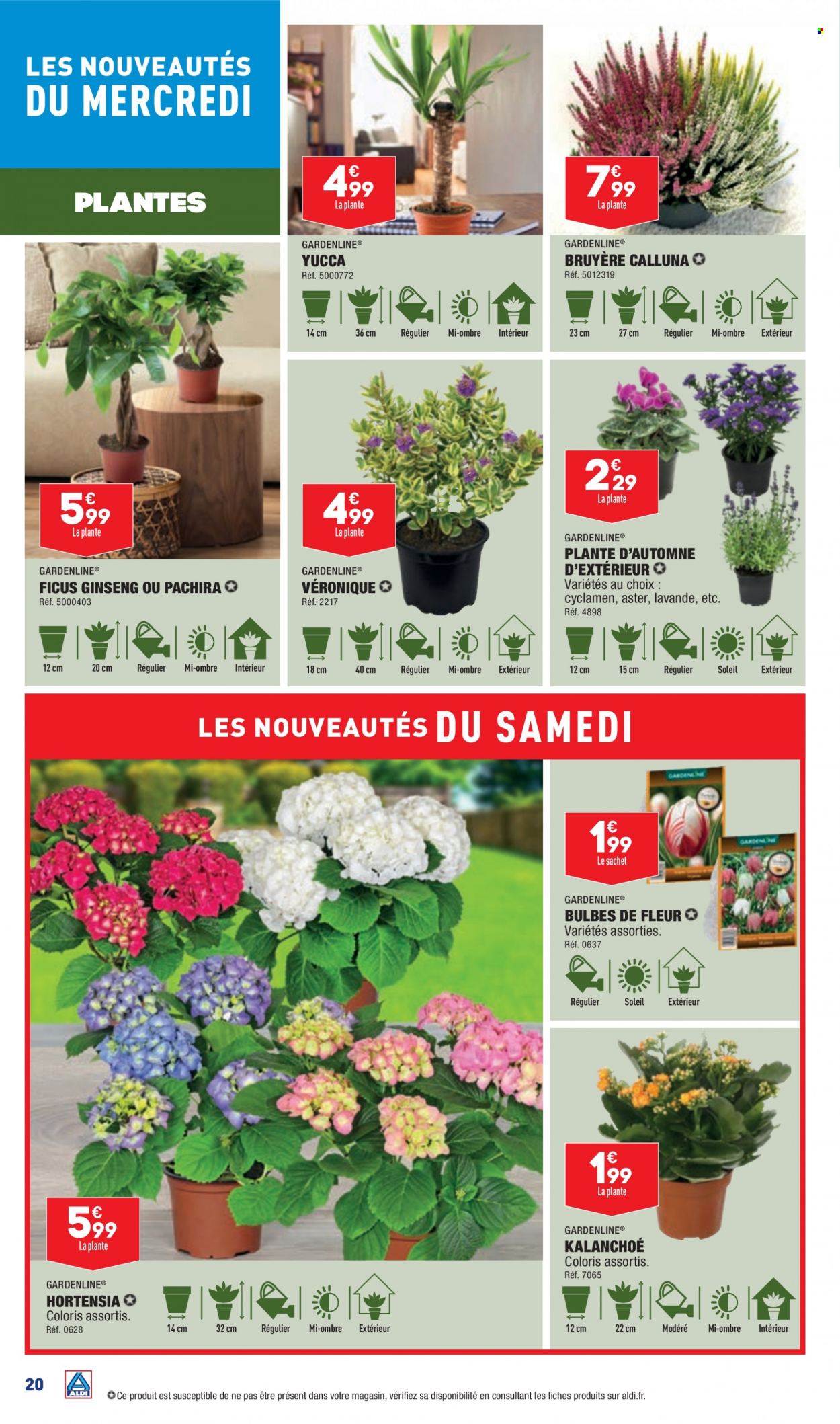 Catalogue ALDI - 05/09/2023 - 11/09/2023. Page 23