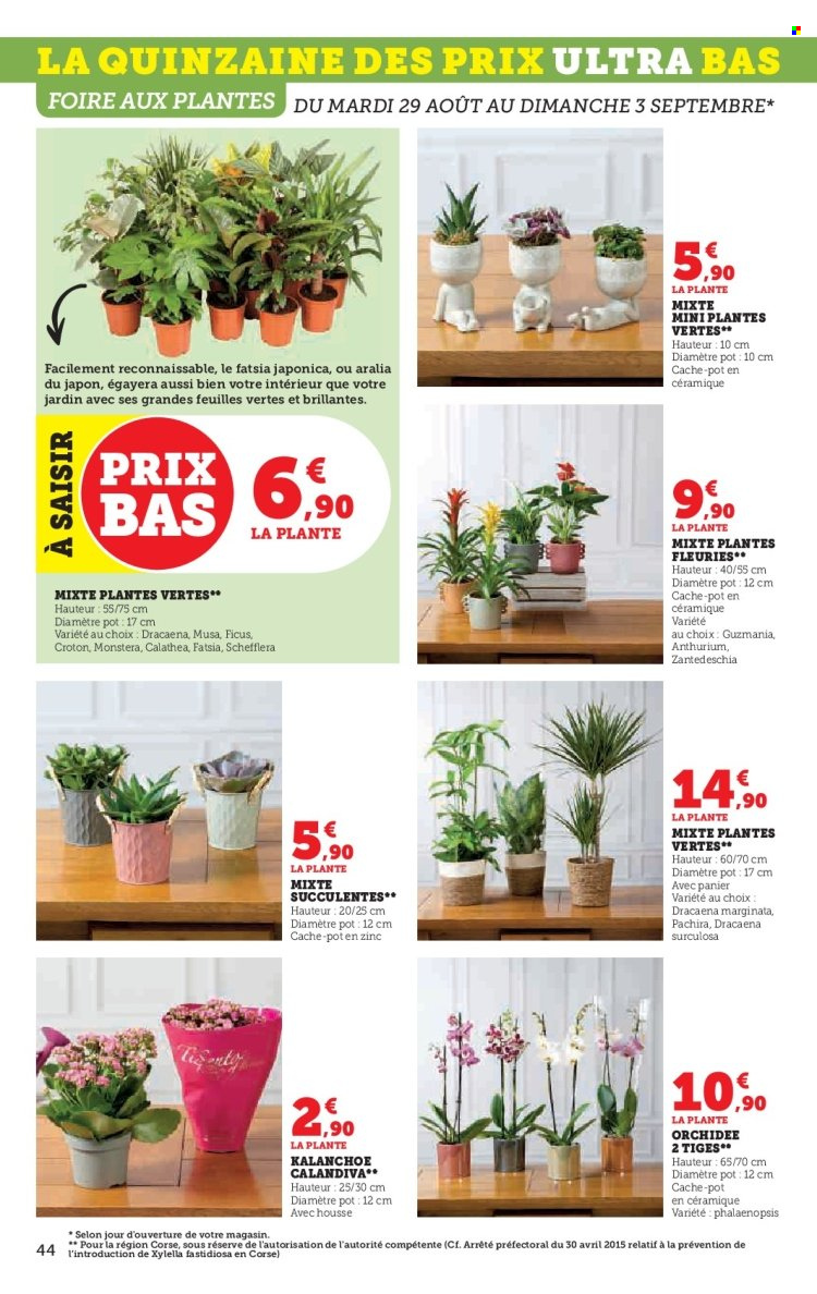 Catalogue HYPER U - 29/08/2023 - 10/09/2023. Page 44