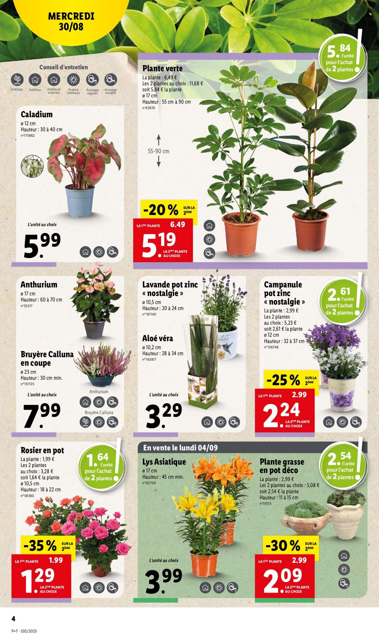 Catalogue Lidl - 30/08/2023 - 05/09/2023. Page 4