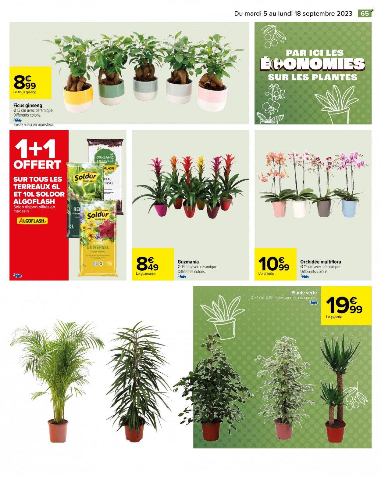 Catalogue Carrefour Hypermarchés - 05/09/2023 - 18/09/2023. Page 67
