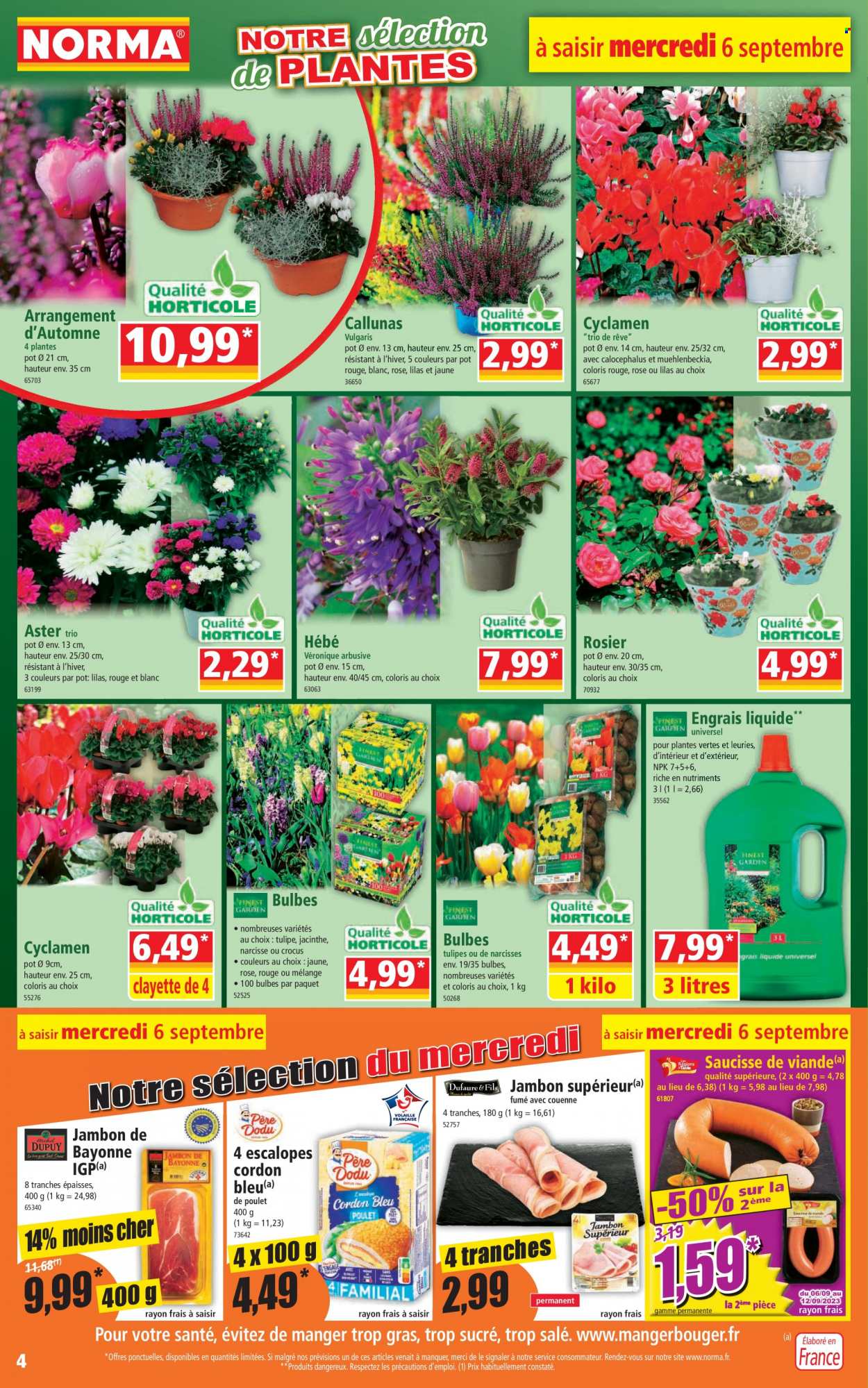 Catalogue Norma - 06/09/2023 - 12/09/2023. Page 4