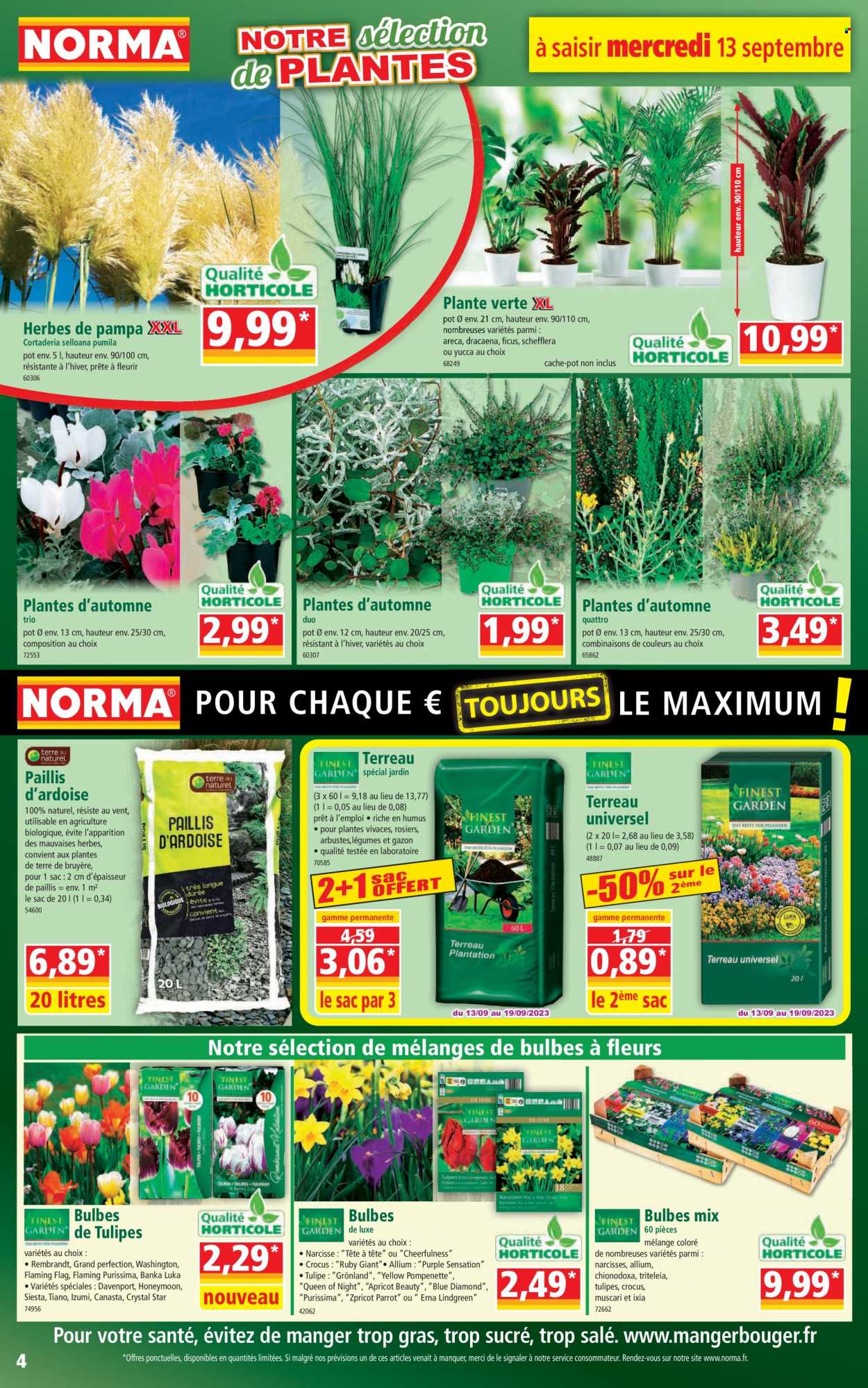 Catalogue Norma - 13/09/2023 - 19/09/2023. Page 4