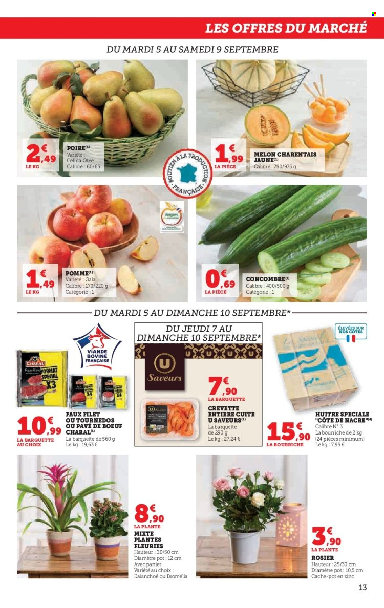 Catalogue U express - 05/09/2023 - 17/09/2023. Page 13