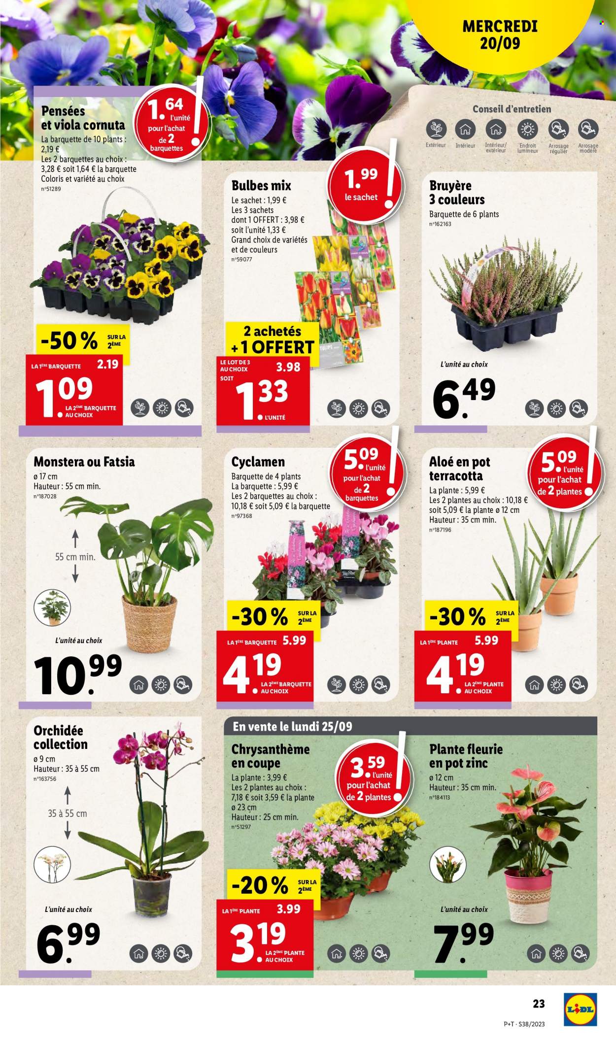 Catalogue Lidl - 20/09/2023 - 26/09/2023. Page 23