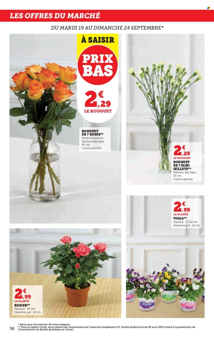 Catalogue HYPER U - 19/09/2023 - 01/10/2023. Page 36