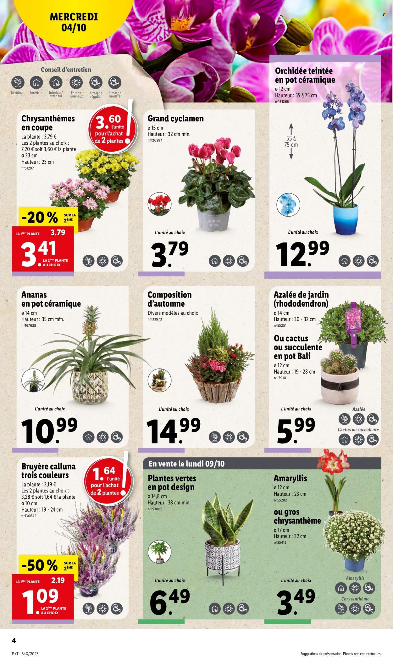 Catalogue Lidl - 04/10/2023 - 10/10/2023. Page 4